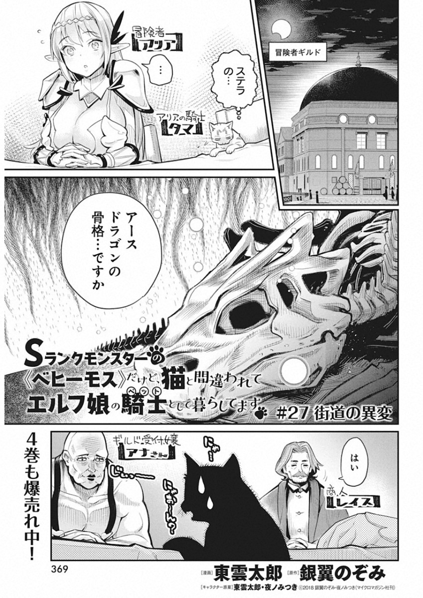 Sランクモンスターの《ベヒーモス》だけどネコと間違われてエルフ娘の騎士として暮らしています 第27話 - Page 2