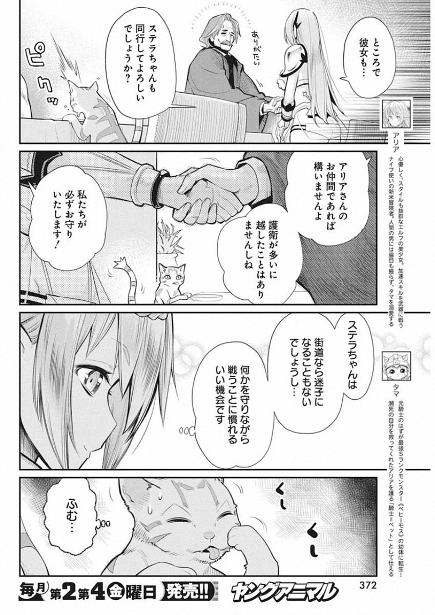 Sランクモンスターの《ベヒーモス》だけどネコと間違われてエルフ娘の騎士として暮らしています 第27話 - Page 4