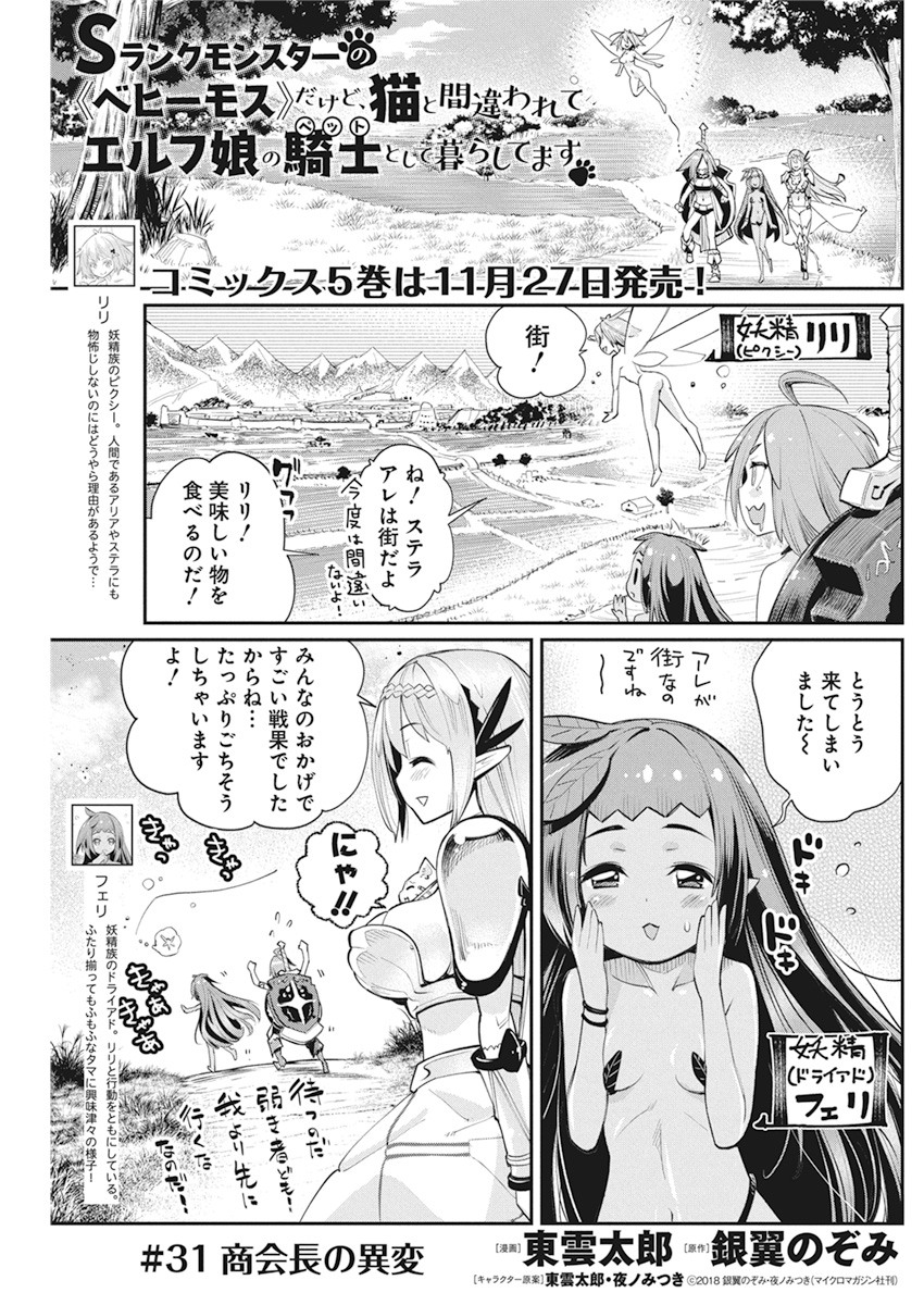 Sランクモンスターの《ベヒーモス》だけどネコと間違われてエルフ娘の騎士として暮らしています 第31話 - Page 1