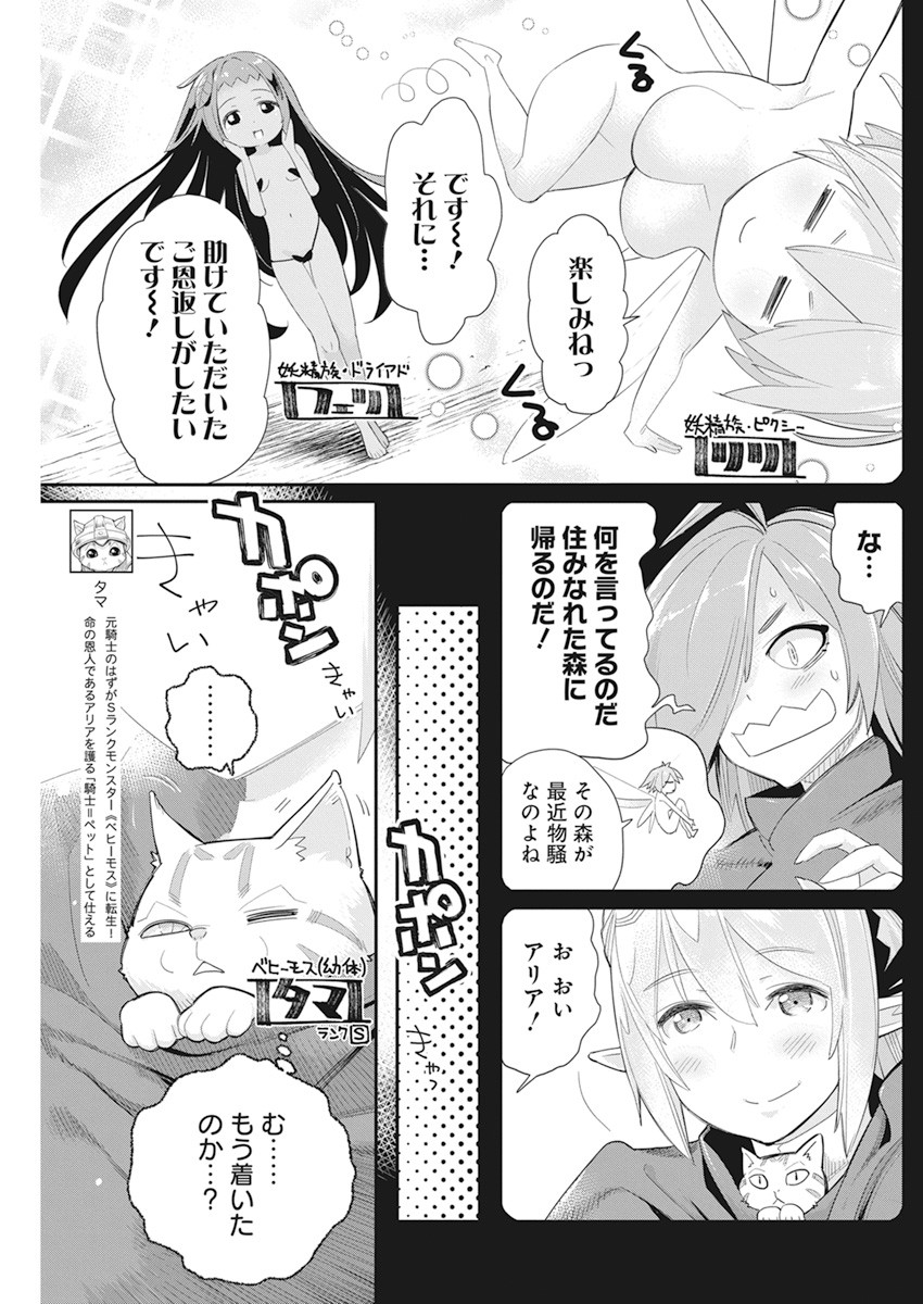 Sランクモンスターの《ベヒーモス》だけどネコと間違われてエルフ娘の騎士として暮らしています 第37話 - Page 4