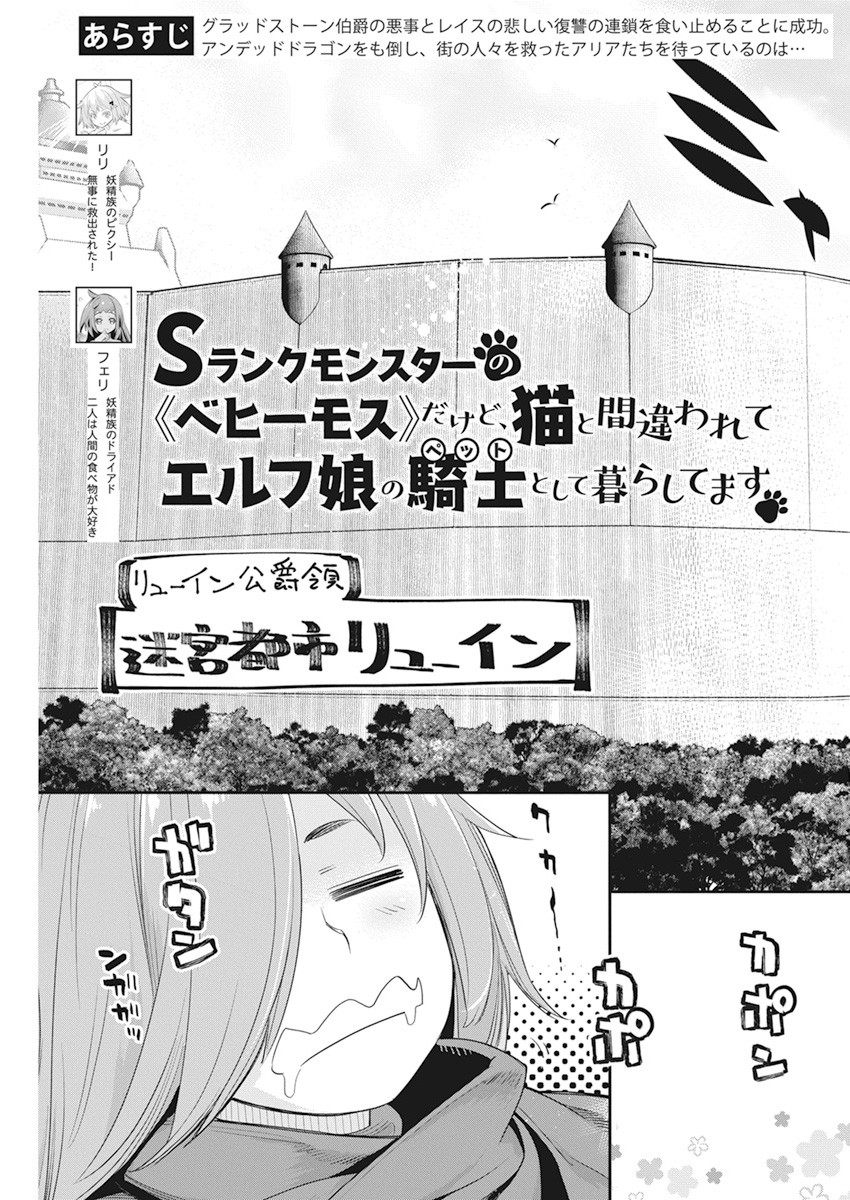 Sランクモンスターの《ベヒーモス》だけどネコと間違われてエルフ娘の騎士として暮らしています 第37話 - Page 6