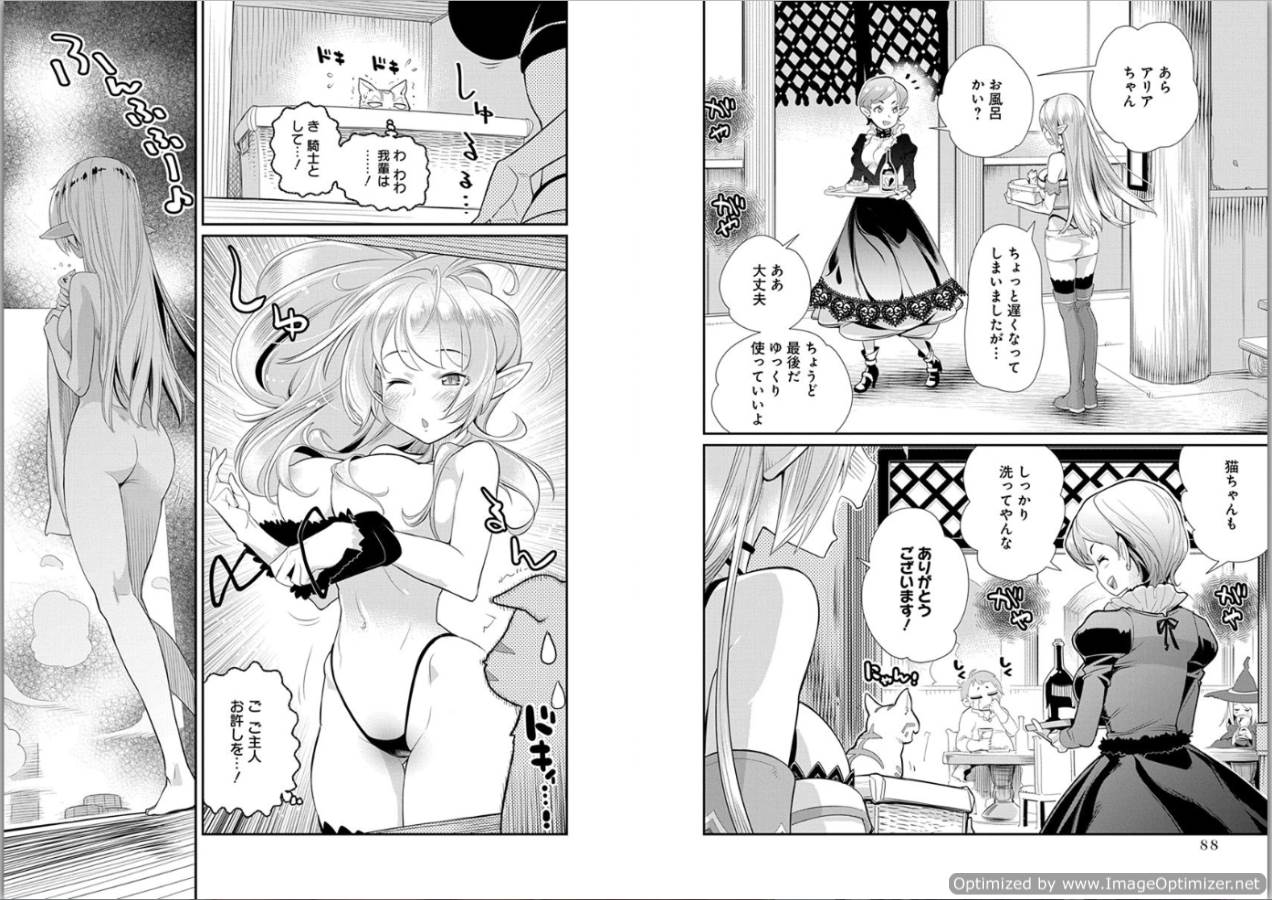 Sランクモンスターの《ベヒーモス》だけどネコと間違われてエルフ娘の騎士として暮らしています 第4話 - Page 2