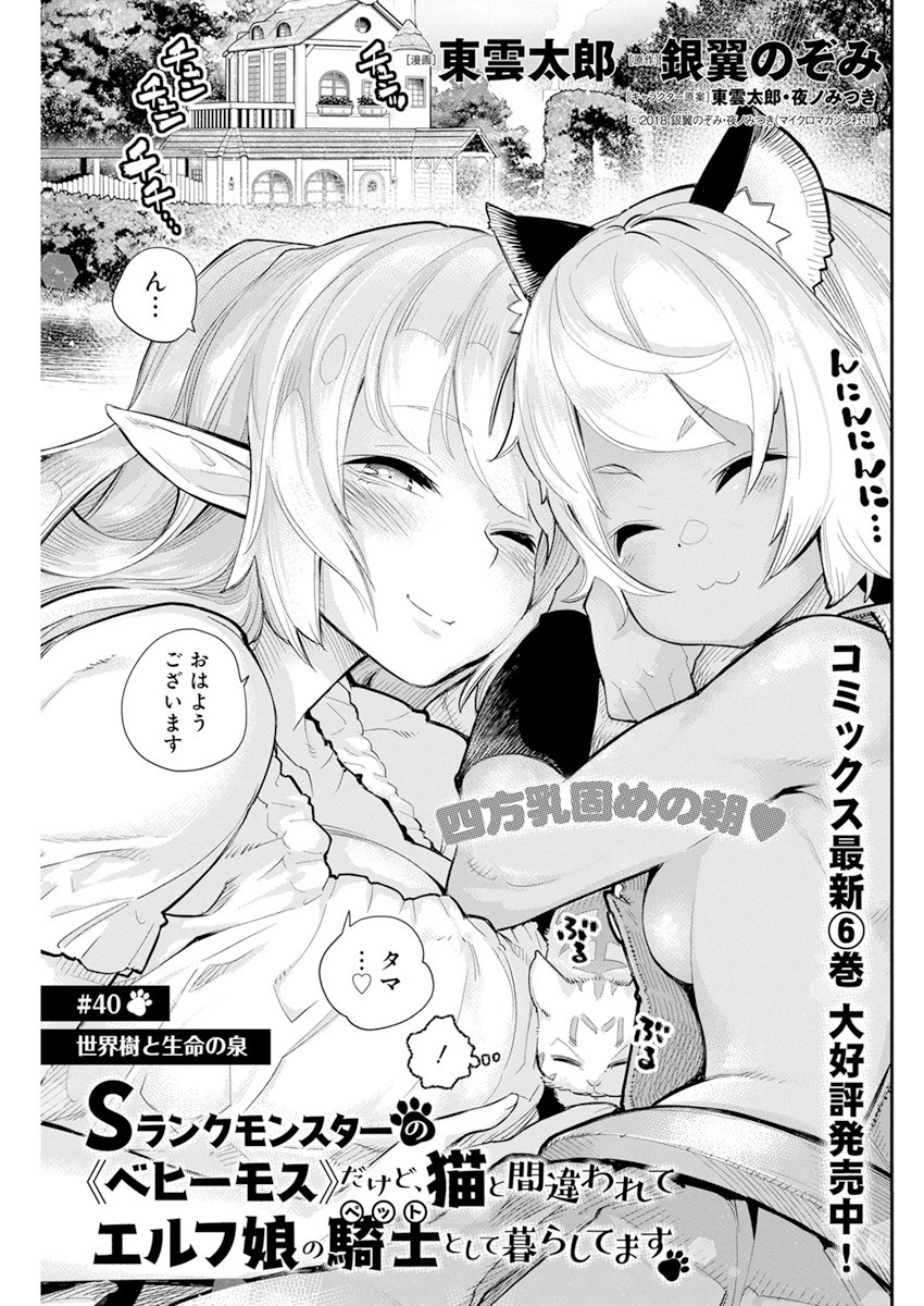 Sランクモンスターの《ベヒーモス》だけどネコと間違われてエルフ娘の騎士として暮らしています 第40話 - Page 2