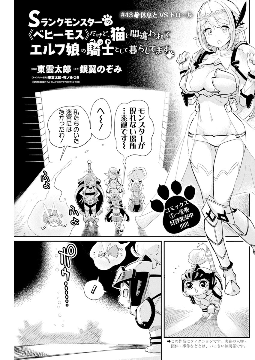 Sランクモンスターの《ベヒーモス》だけどネコと間違われてエルフ娘の騎士として暮らしています 第43話 - Page 2