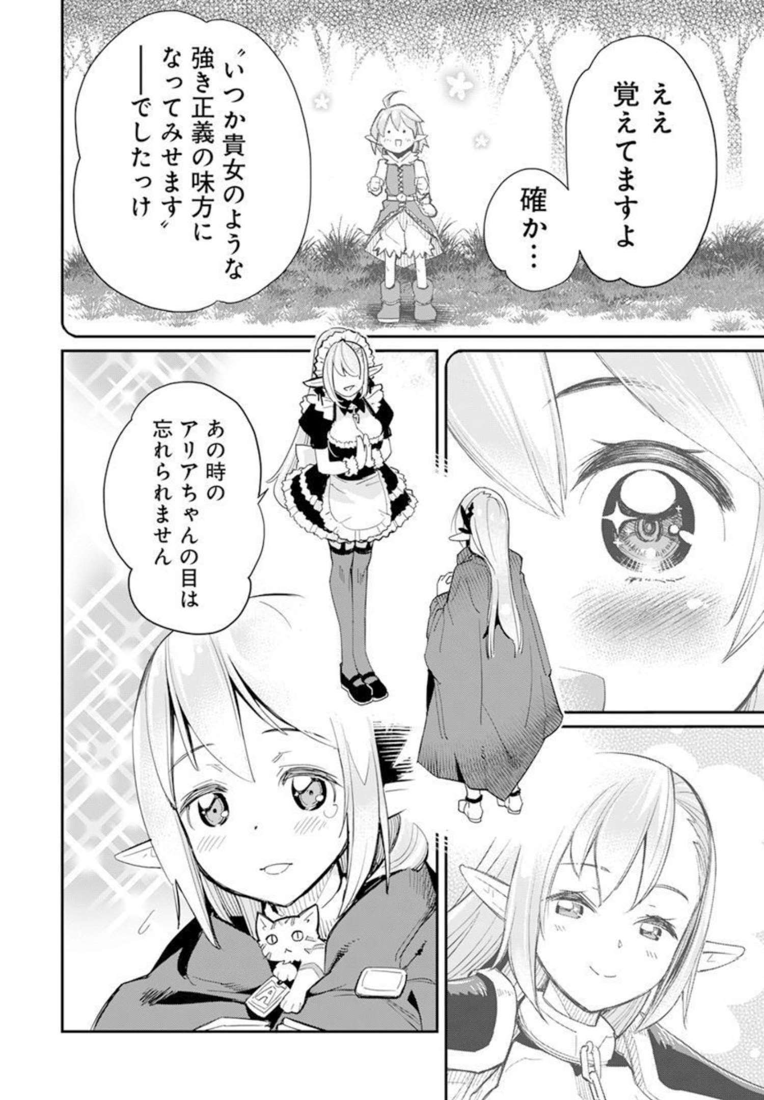 Sランクモンスターの《ベヒーモス》だけどネコと間違われてエルフ娘の騎士として暮らしています 第45話 - Page 12