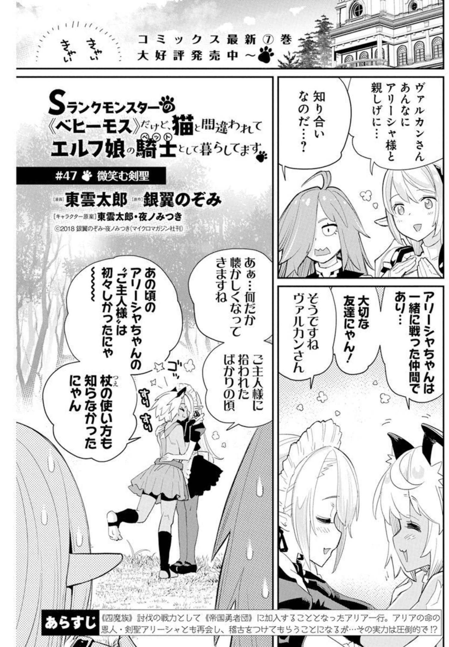 Sランクモンスターの《ベヒーモス》だけどネコと間違われてエルフ娘の騎士として暮らしています 第47話 - Page 1