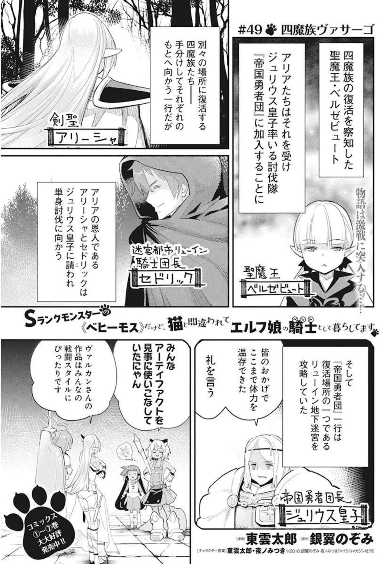 Sランクモンスターの《ベヒーモス》だけどネコと間違われてエルフ娘の騎士として暮らしています 第49話 - Page 1