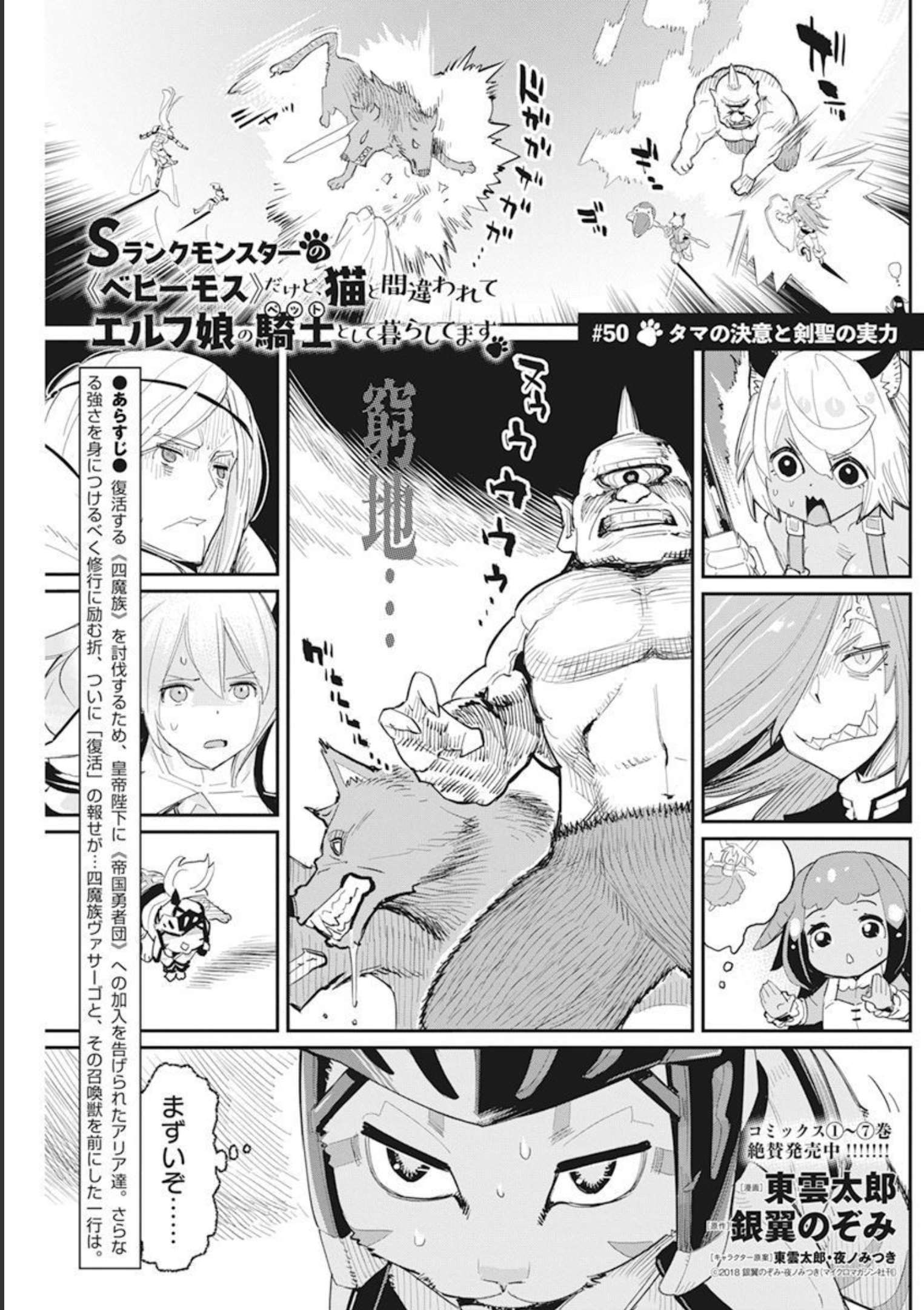 Sランクモンスターの《ベヒーモス》だけどネコと間違われてエルフ娘の騎士として暮らしています 第50話 - Page 1