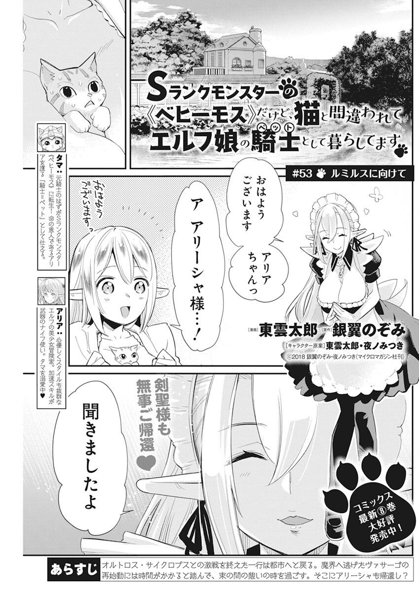 Sランクモンスターの《ベヒーモス》だけどネコと間違われてエルフ娘の騎士として暮らしています 第53話 - Page 1