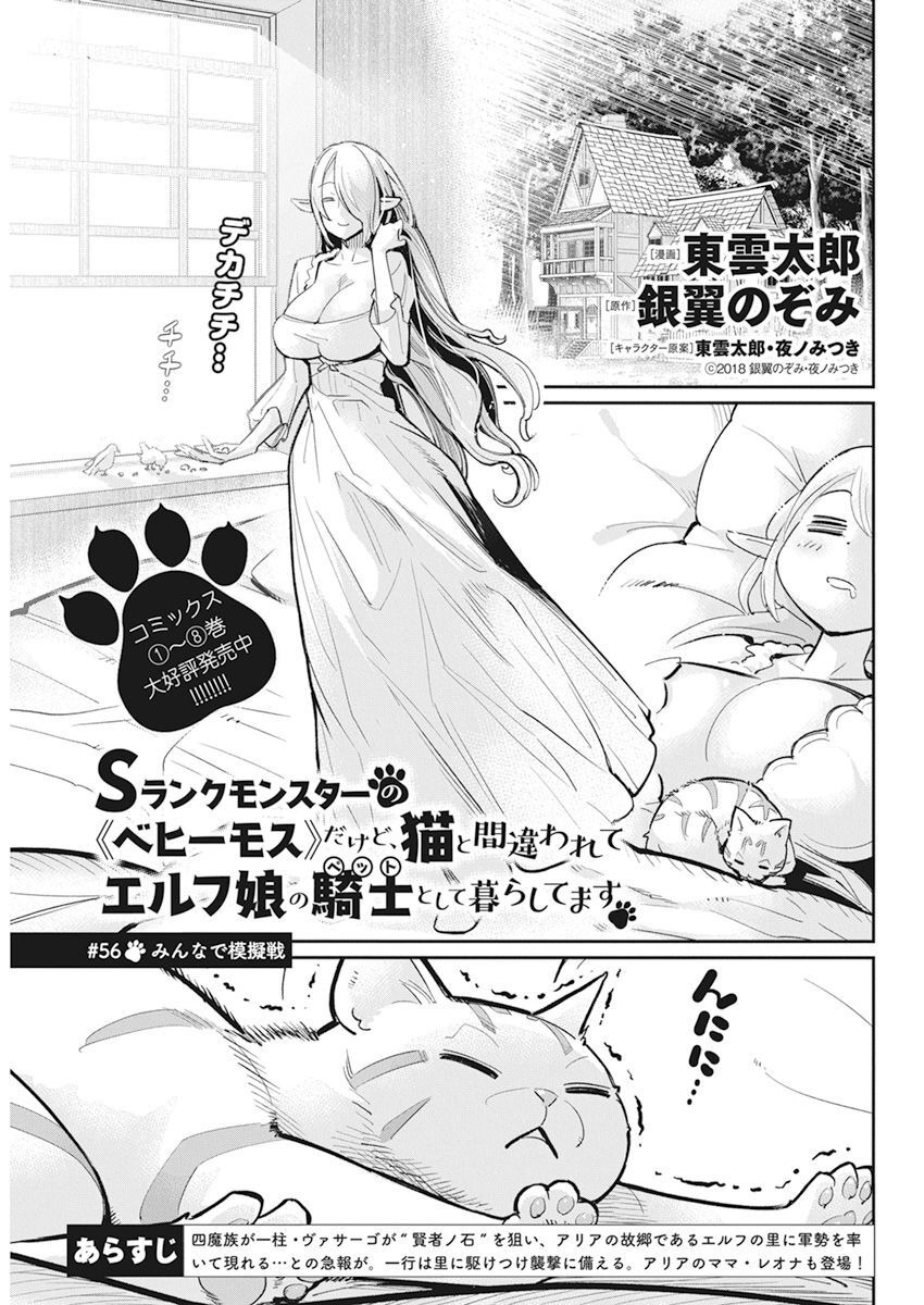 Sランクモンスターの《ベヒーモス》だけどネコと間違われてエルフ娘の騎士として暮らしています 第56話 - Page 1