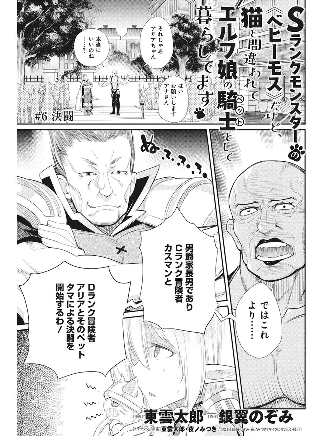 Sランクモンスターの《ベヒーモス》だけどネコと間違われてエルフ娘の騎士として暮らしています 第6話 - Page 2