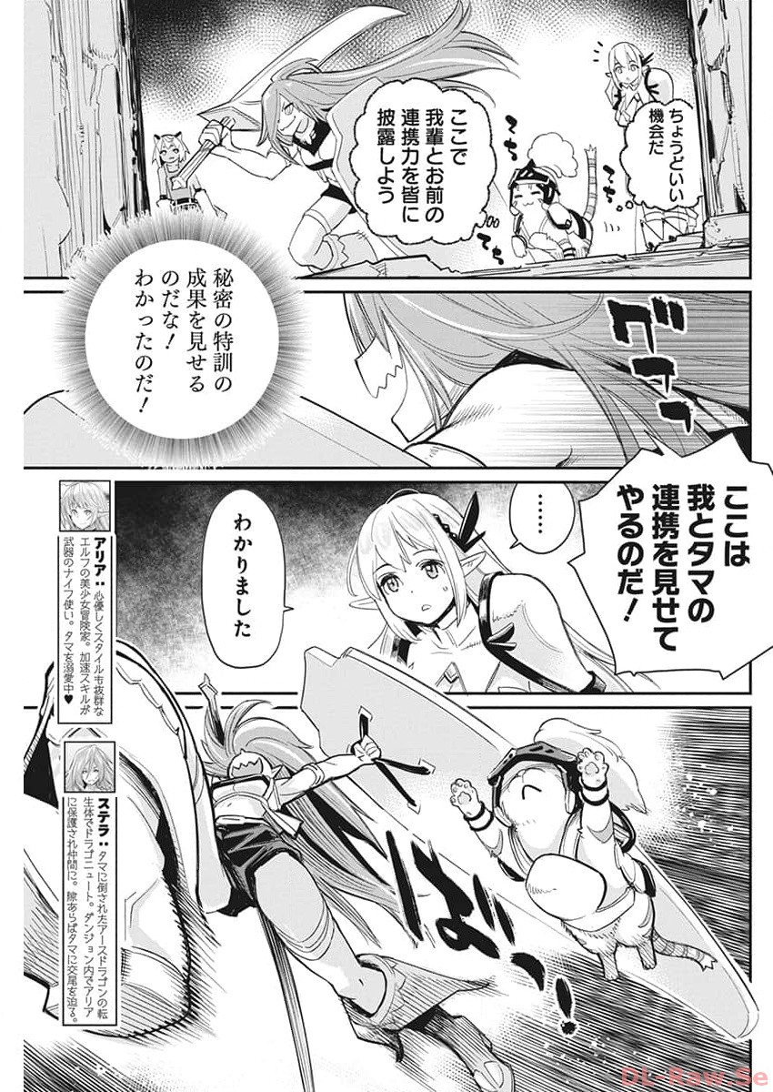 Sランクモンスターの《ベヒーモス》だけどネコと間違われてエルフ娘の騎士として暮らしています 第65話 - Page 5