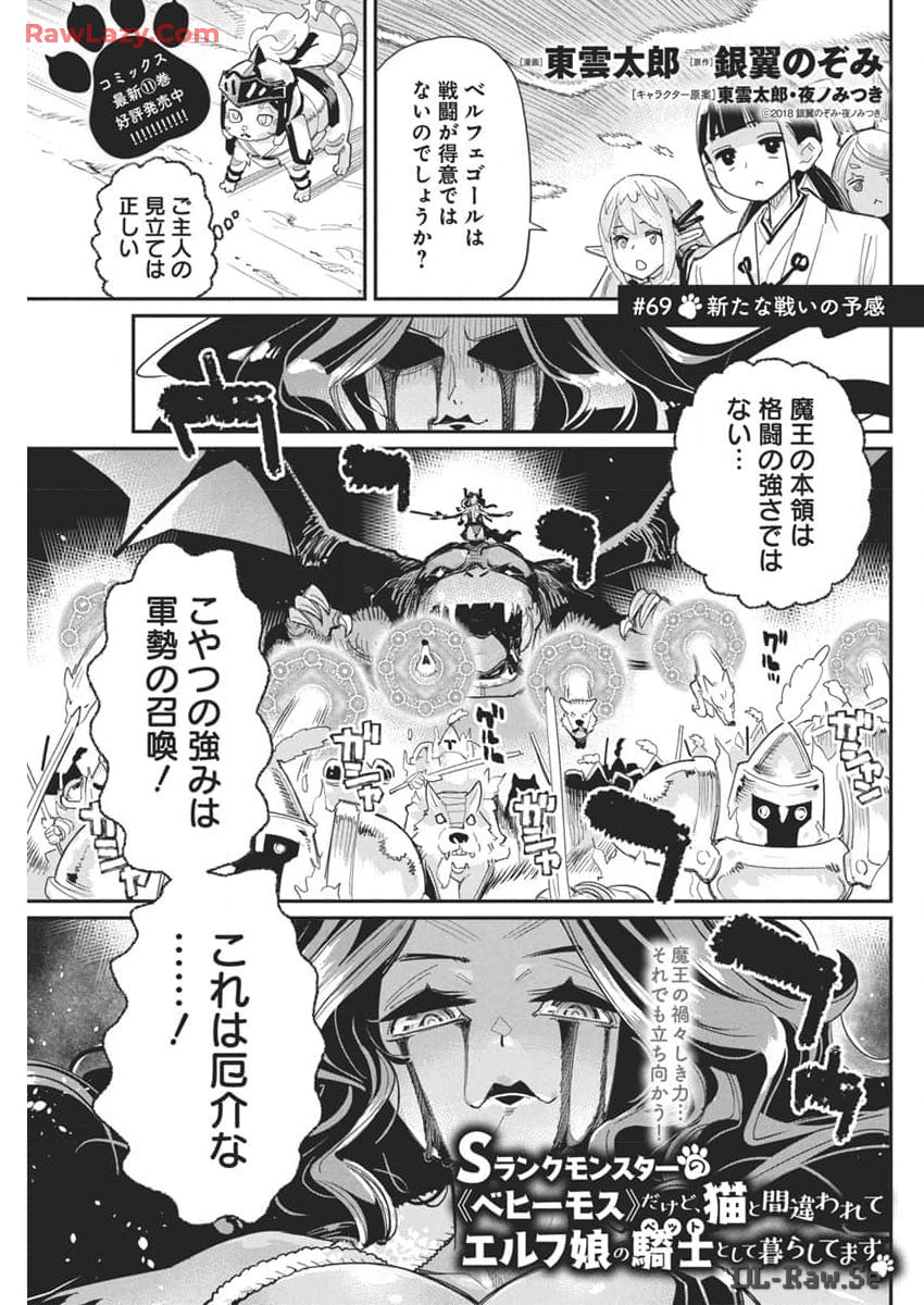 Sランクモンスターの《ベヒーモス》だけどネコと間違われてエルフ娘の騎士として暮らしています 第69話 - Page 1