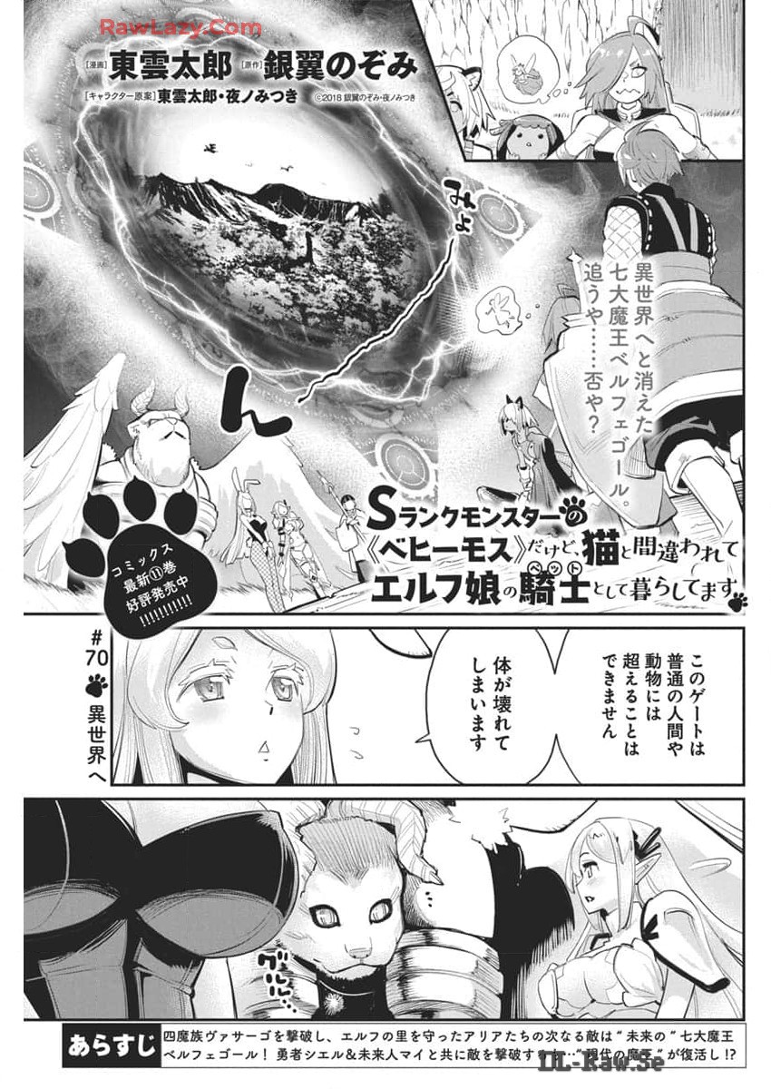 Sランクモンスターの《ベヒーモス》だけどネコと間違われてエルフ娘の騎士として暮らしています 第70話 - Page 2