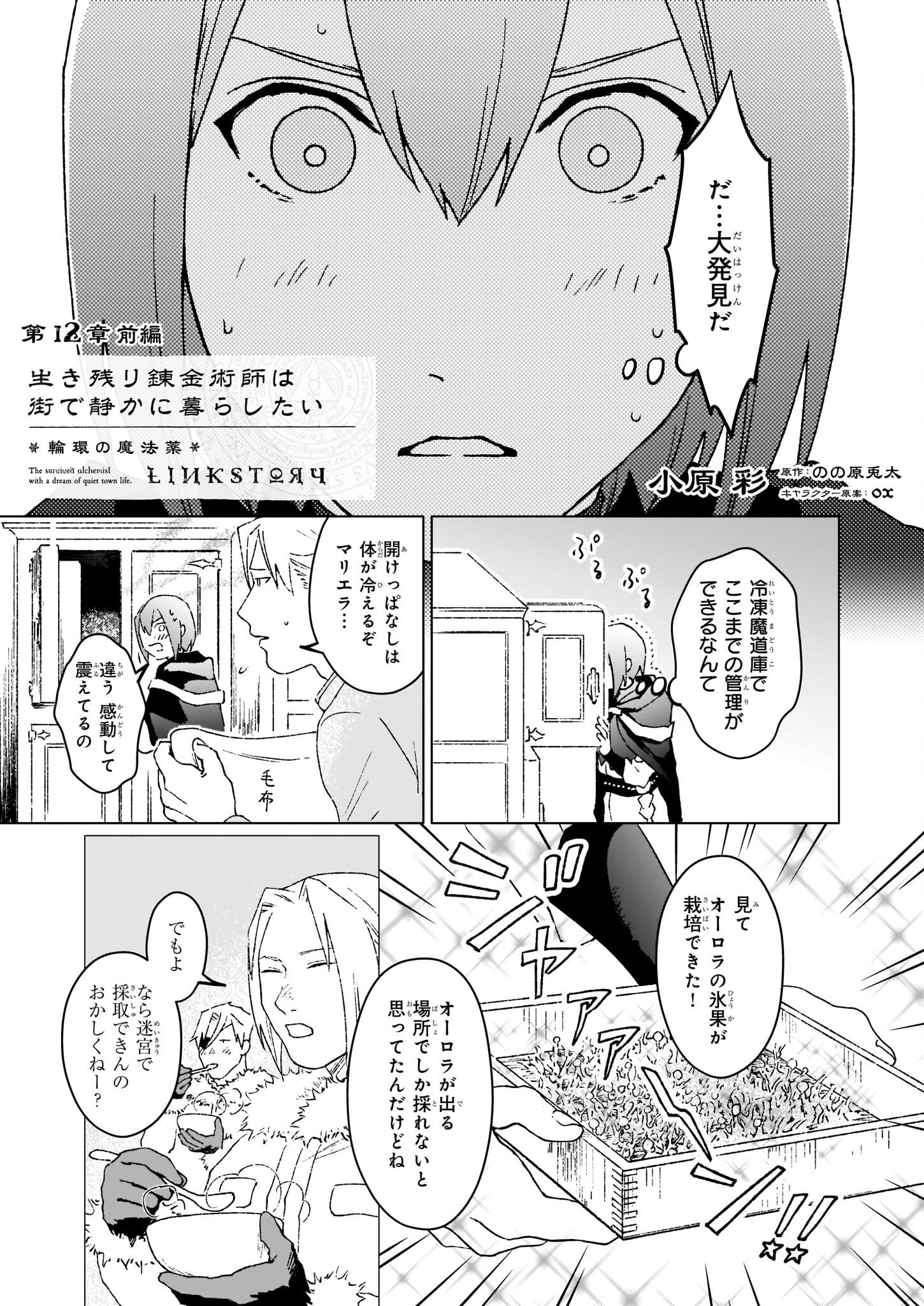 生き残り錬金術師は街で静かに暮らしたい 第12.1話 - Page 1