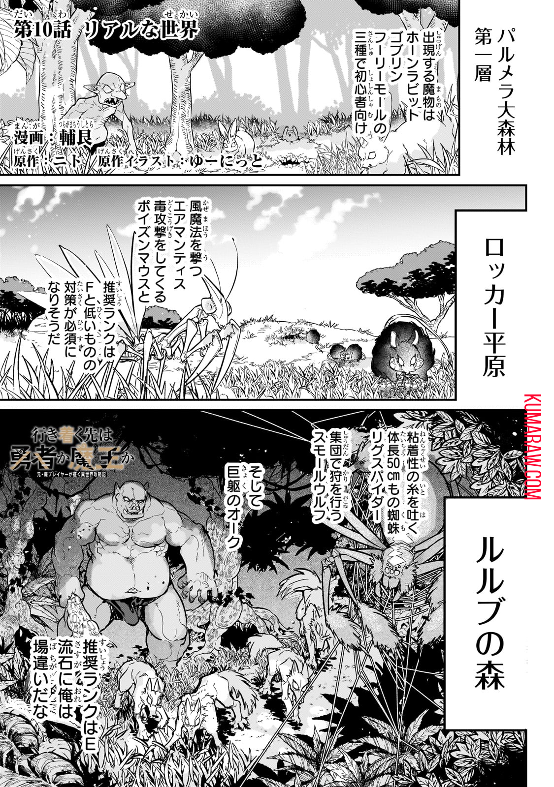 行き着く先は勇者か魔王か　元・廃プレイヤーが征く異世界攻略記 第10話 - Page 1