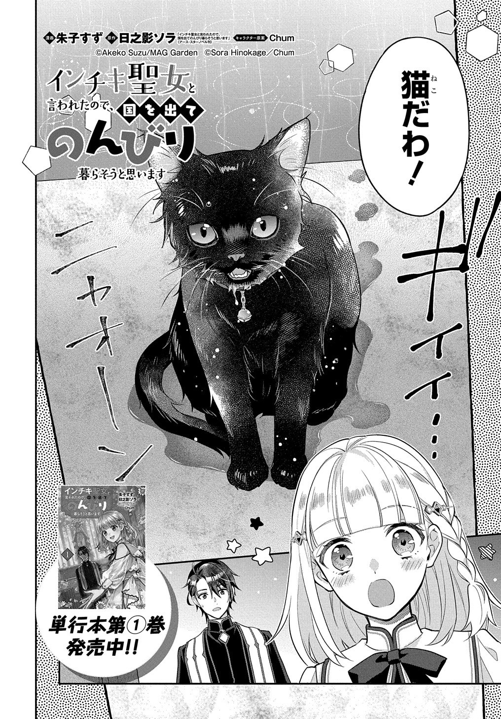 インチキ聖女と言われたので、国を出てのんびり暮らそうと思います 第8話 - Page 3