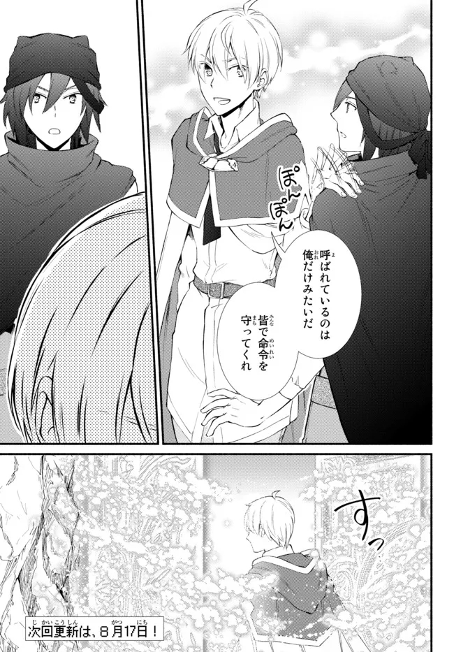 聖者無双 第61.1話 - Page 19