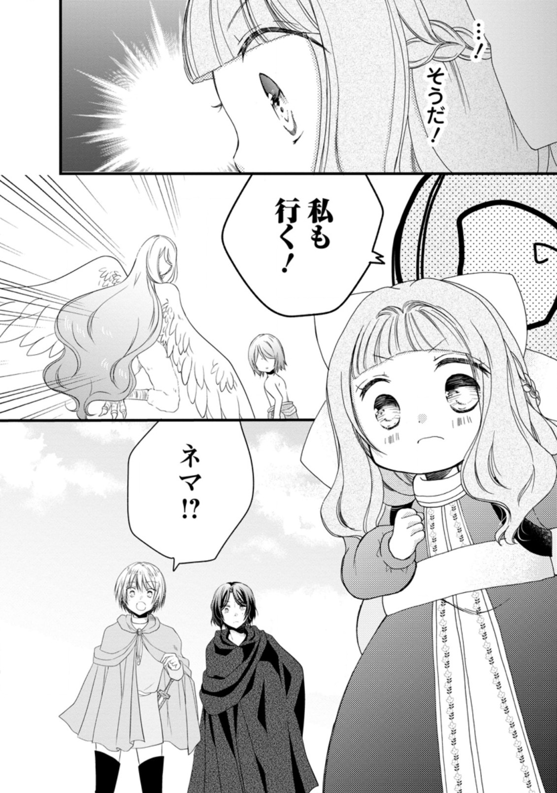 異世界でもふもふなでなでするためにがんばってます。 第27.1話 - Page 12