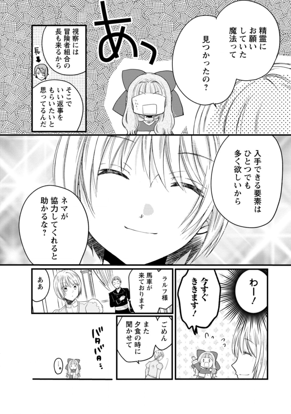 異世界でもふもふなでなでするためにがんばってます。 第42.1話 - Page 12