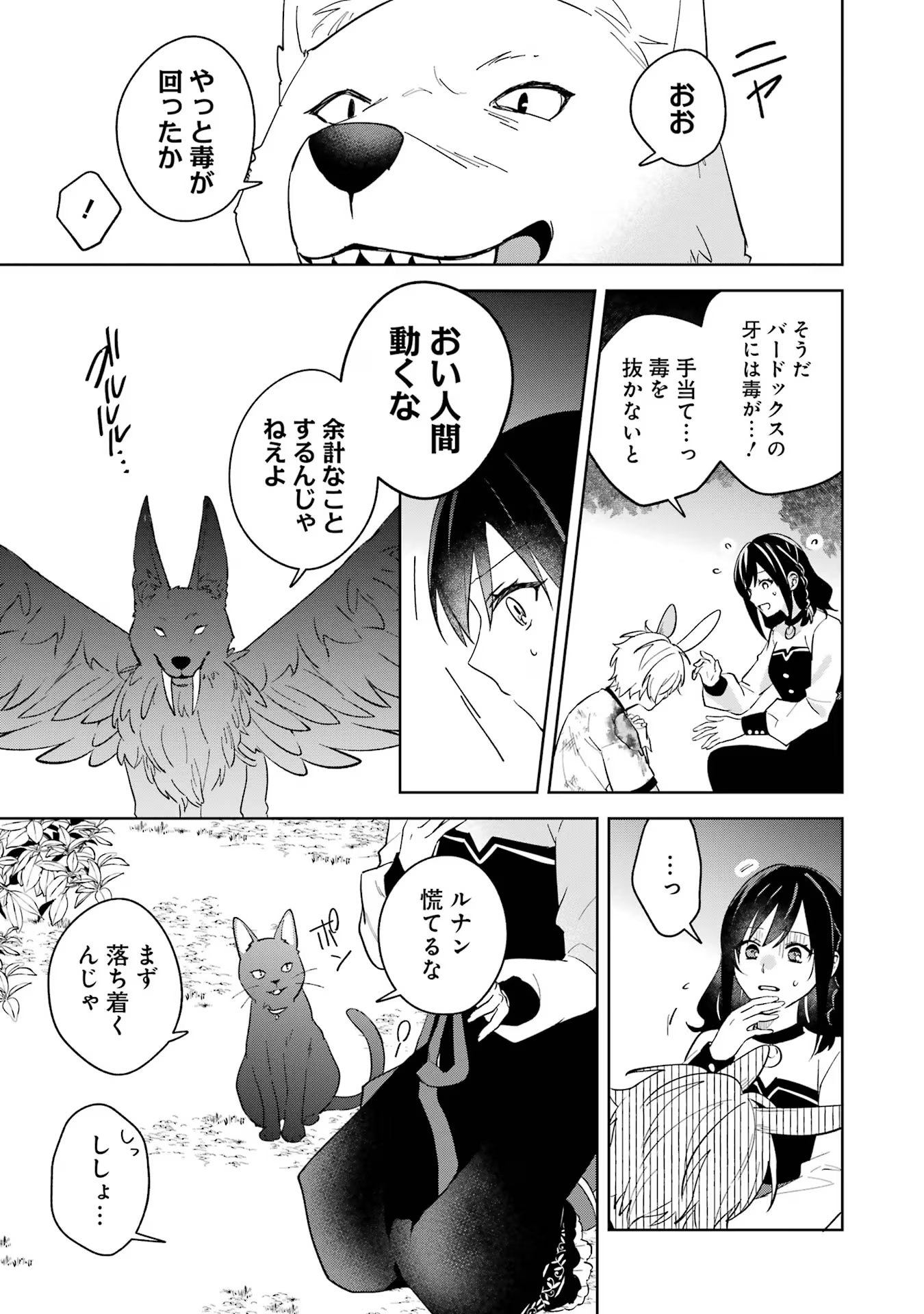 異世界でペンション始めました。世界で唯一の黒魔女ですが、この力はお客様のために使います。 第9話 - Page 9