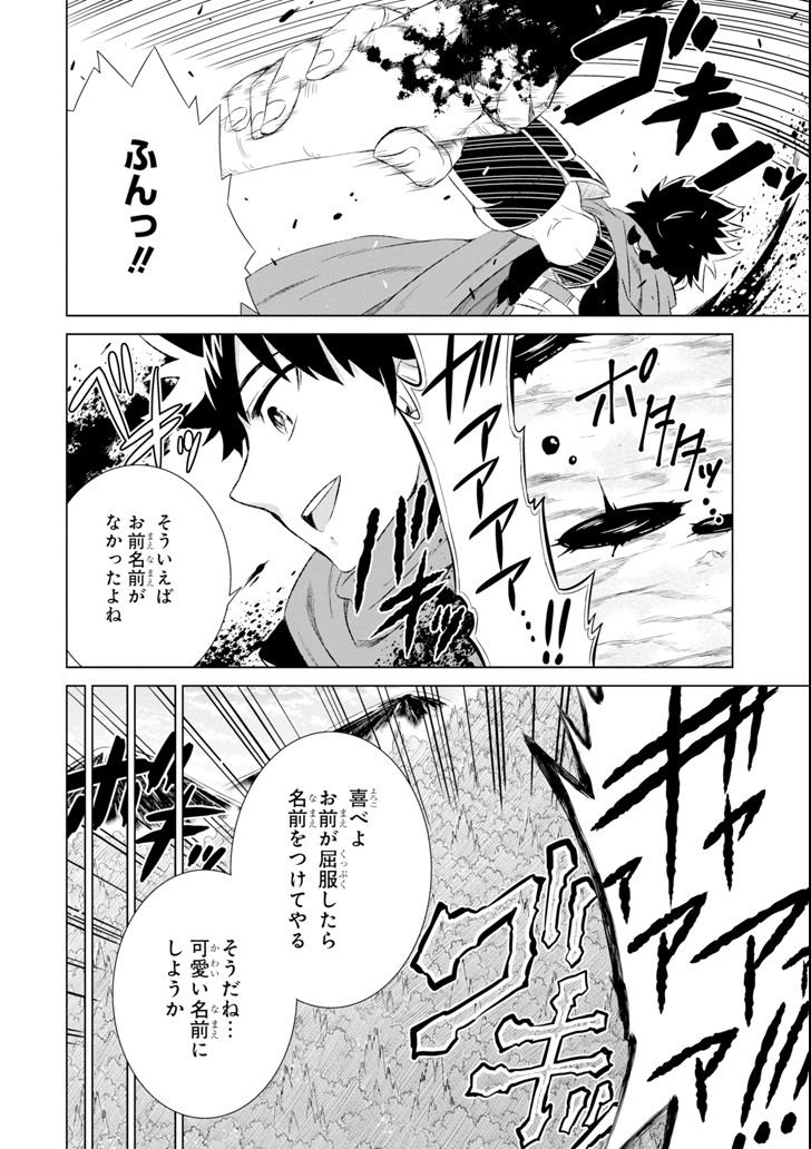 世界でただ一人の魔物使い～転職したら魔王に間違われました～ 第5話 - Page 27