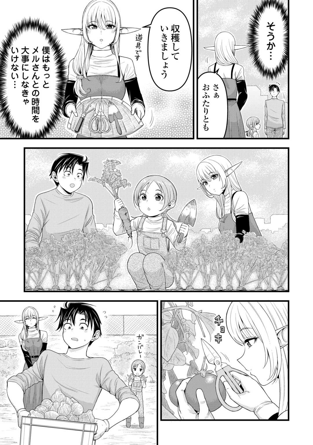 異世界からエルフさんが落ちてきたのですが!? 第6話 - Page 13