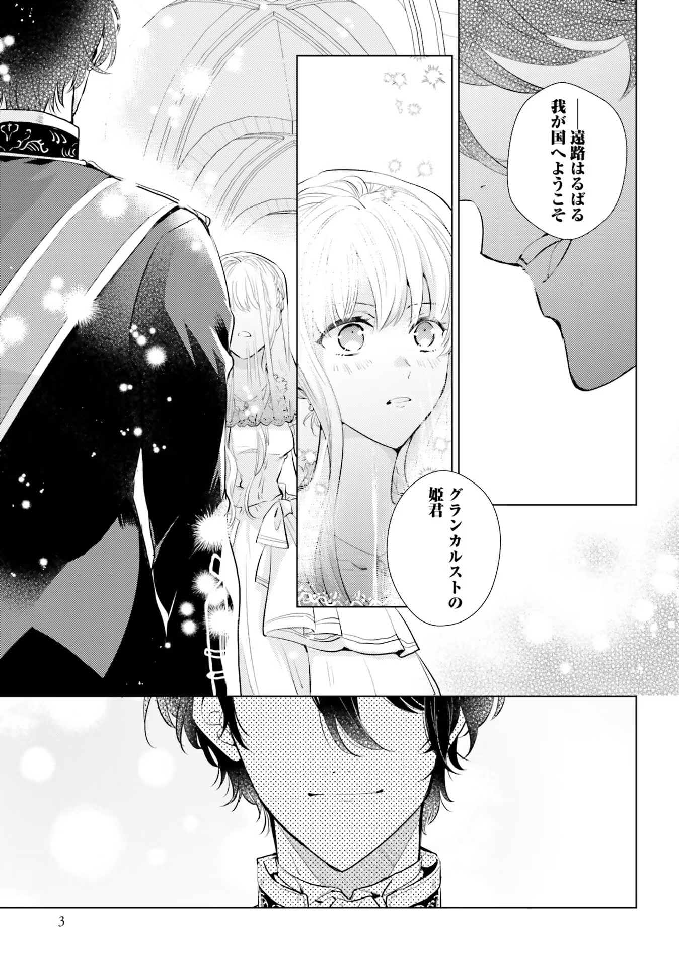 異世界から聖女が来るようなので、邪魔者は消えようと思います 第1話 - Page 1