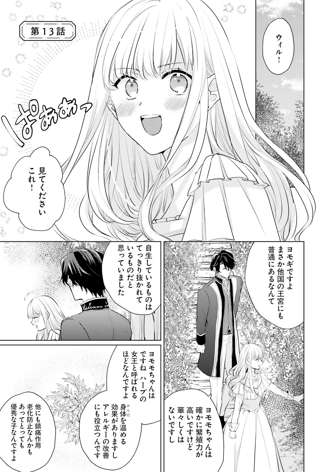 異世界から聖女が来るようなので、邪魔者は消えようと思います 第13話 - Page 2