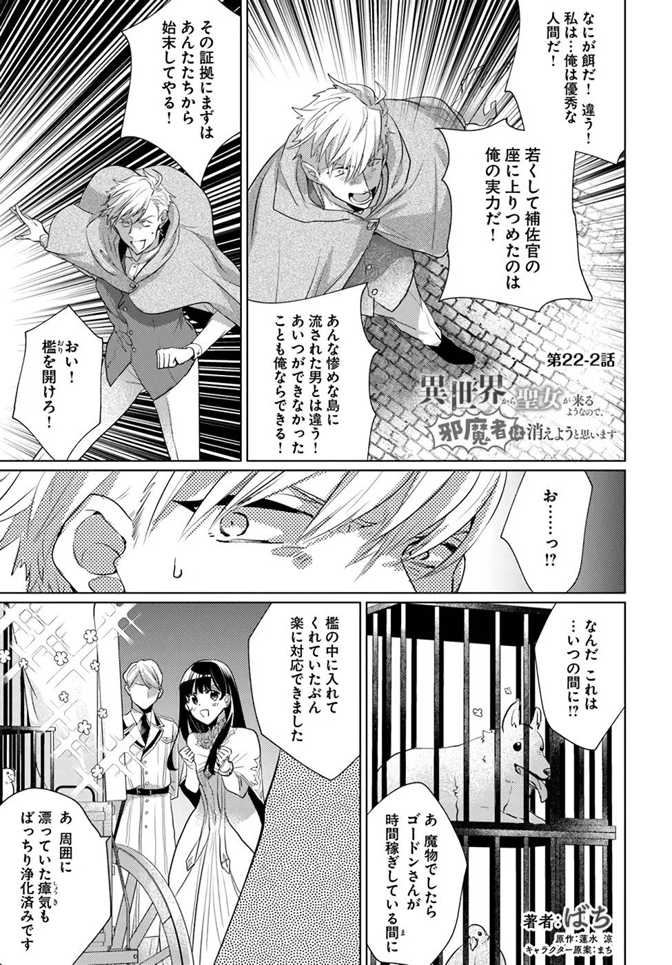 異世界から聖女が来るようなので、邪魔者は消えようと思います 第22話 - Page 11