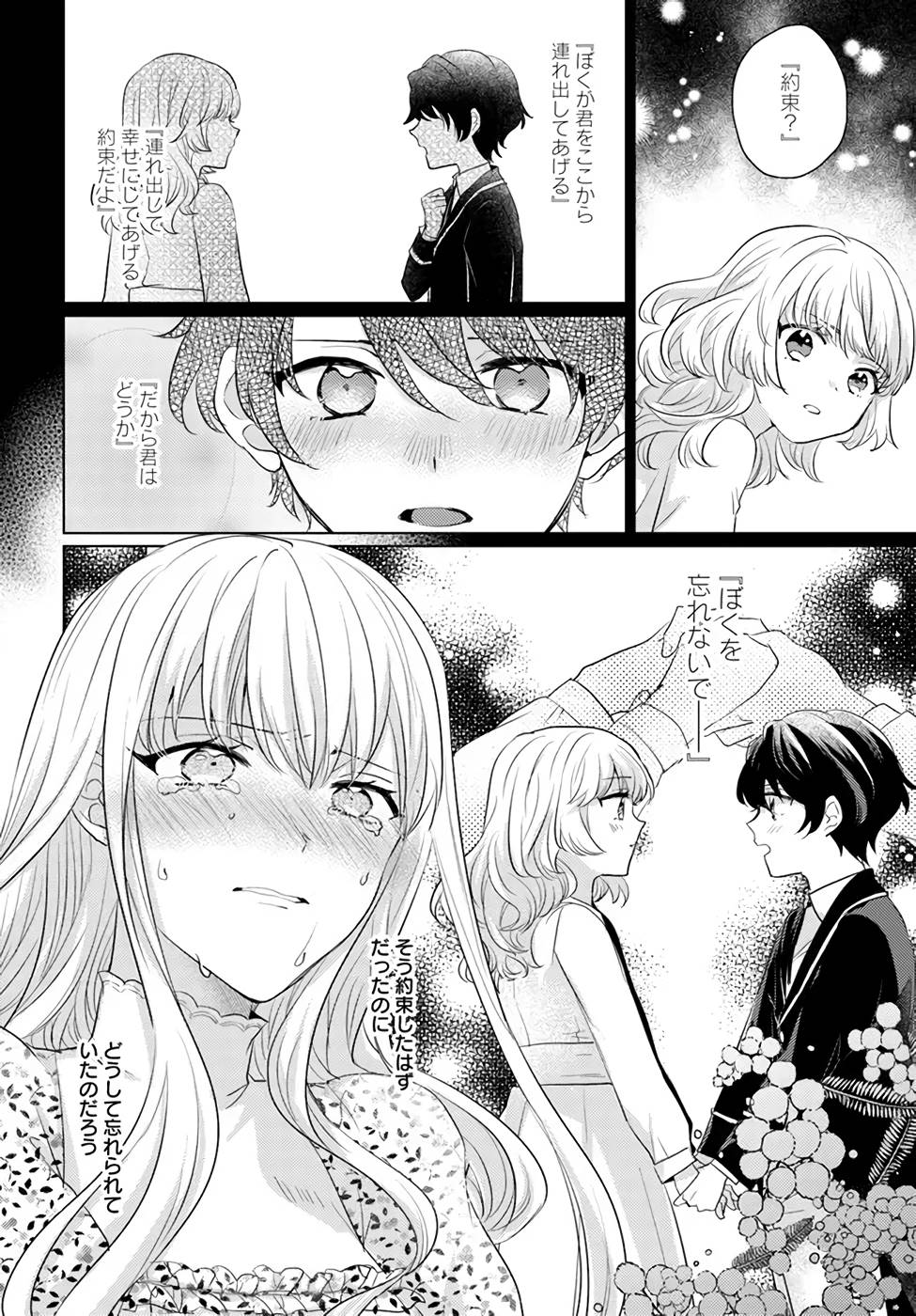 異世界から聖女が来るようなので、邪魔者は消えようと思います 第22話 - Page 32