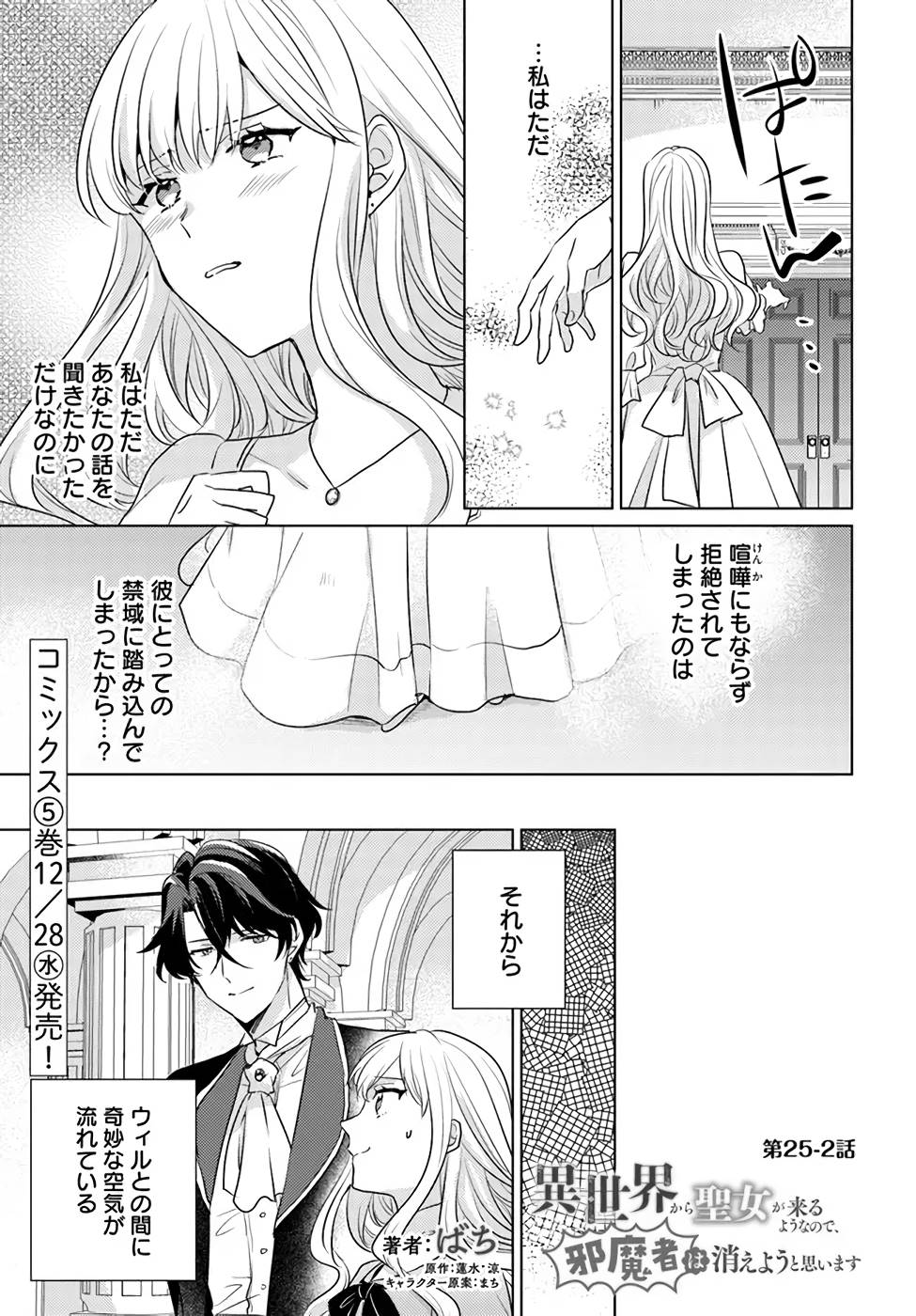 異世界から聖女が来るようなので、邪魔者は消えようと思います 第25話 - Page 8