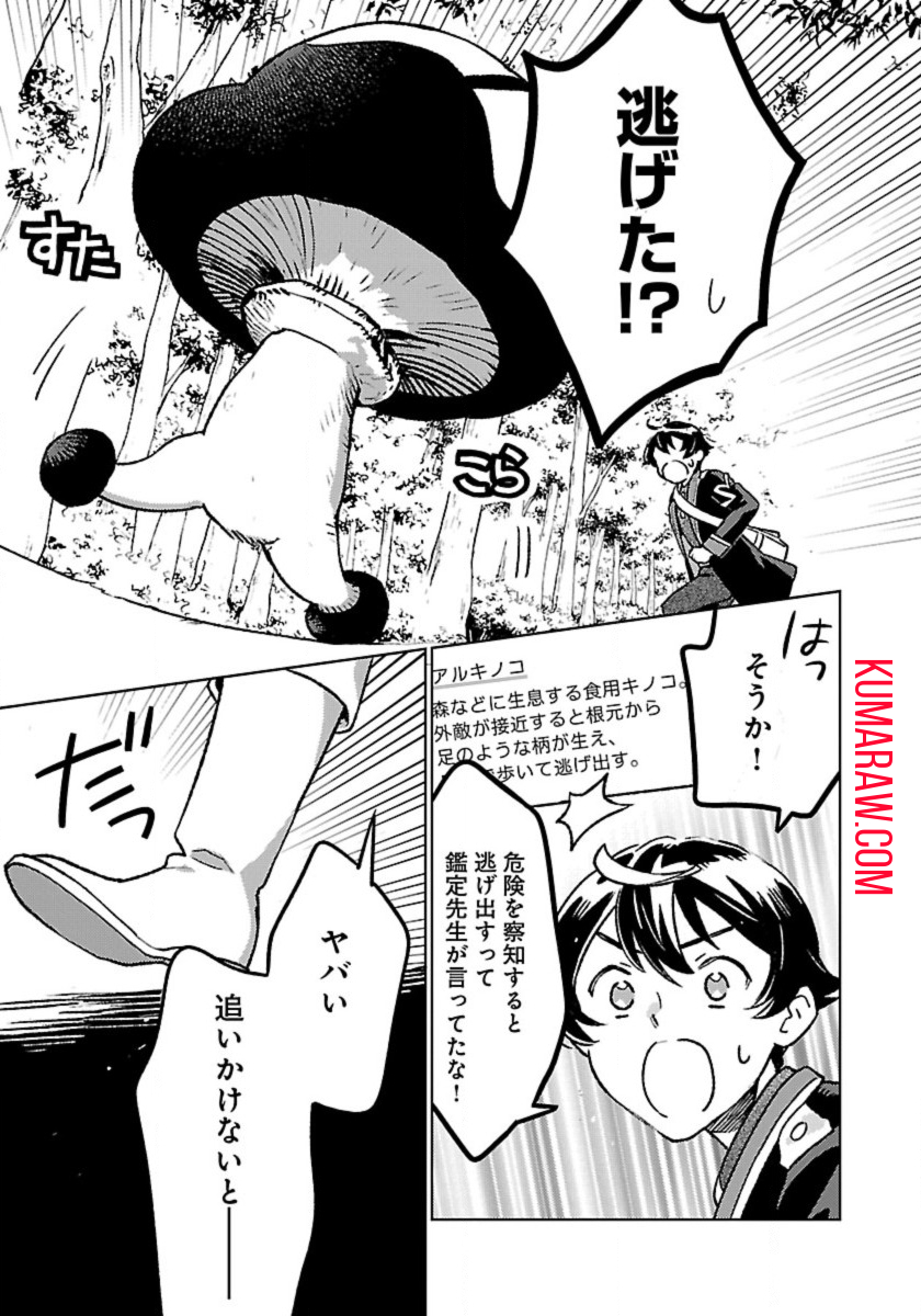 異世界のんびり素材採取生活 第16話 - Page 11