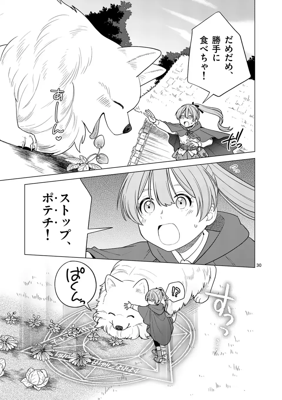 異世界ポメラニアンと虹のもふもふ旅 第1話 - Page 30