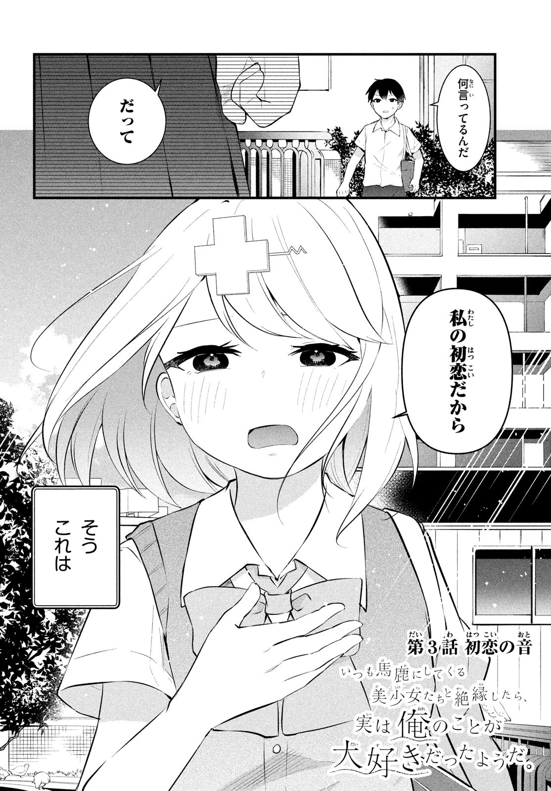 いつも馬鹿にしてくる美少女たちと絶縁したら、実は俺のことが大好きだったようだ。 第3話 - Page 3