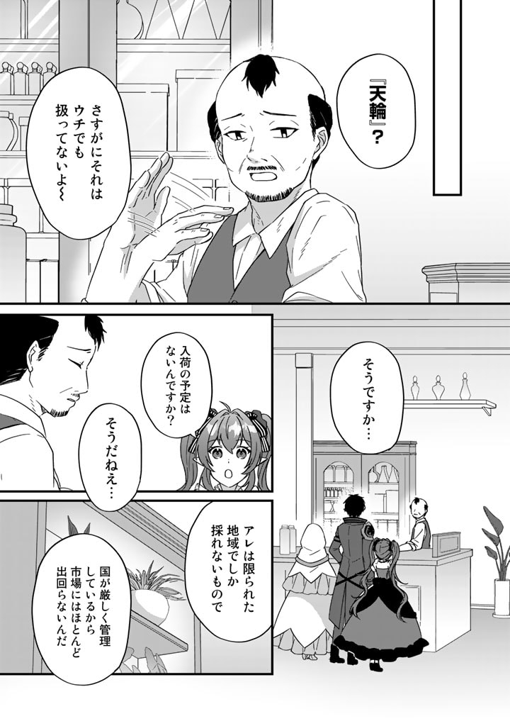 偽りの聖女は竜国の魔法使いになりました 第9話 - Page 11