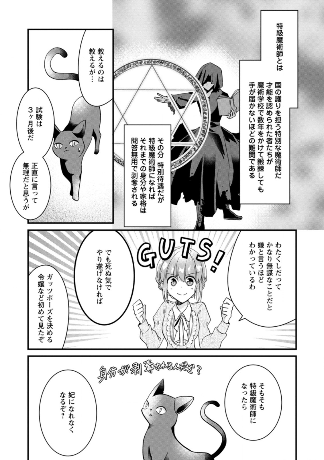 地味姫と黒猫の、円満な婚約破棄 第1.3話 - Page 3