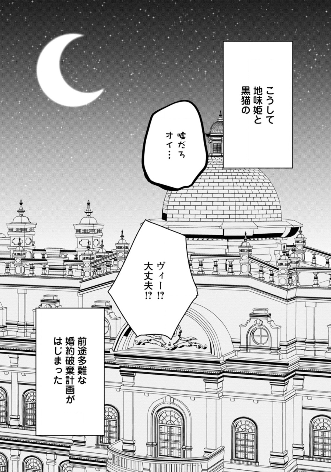 地味姫と黒猫の、円満な婚約破棄 第1.3話 - Page 10