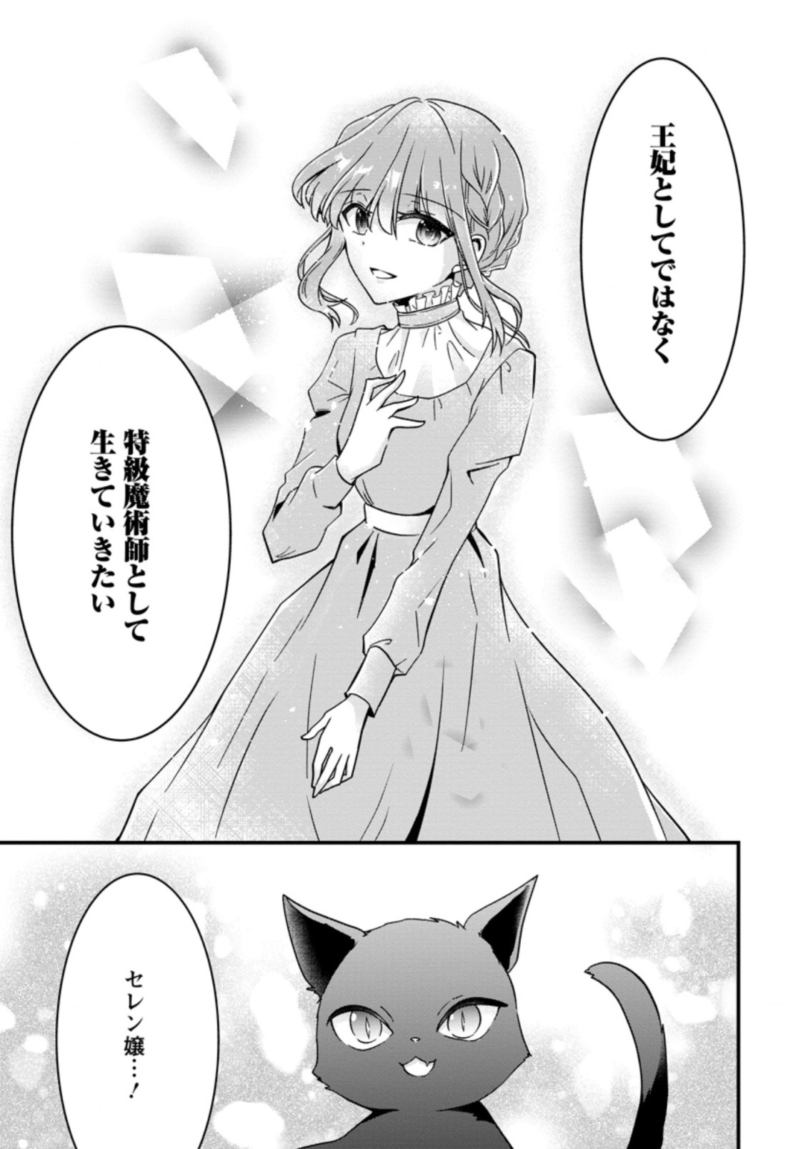 地味姫と黒猫の、円満な婚約破棄 第11.3話 - Page 9