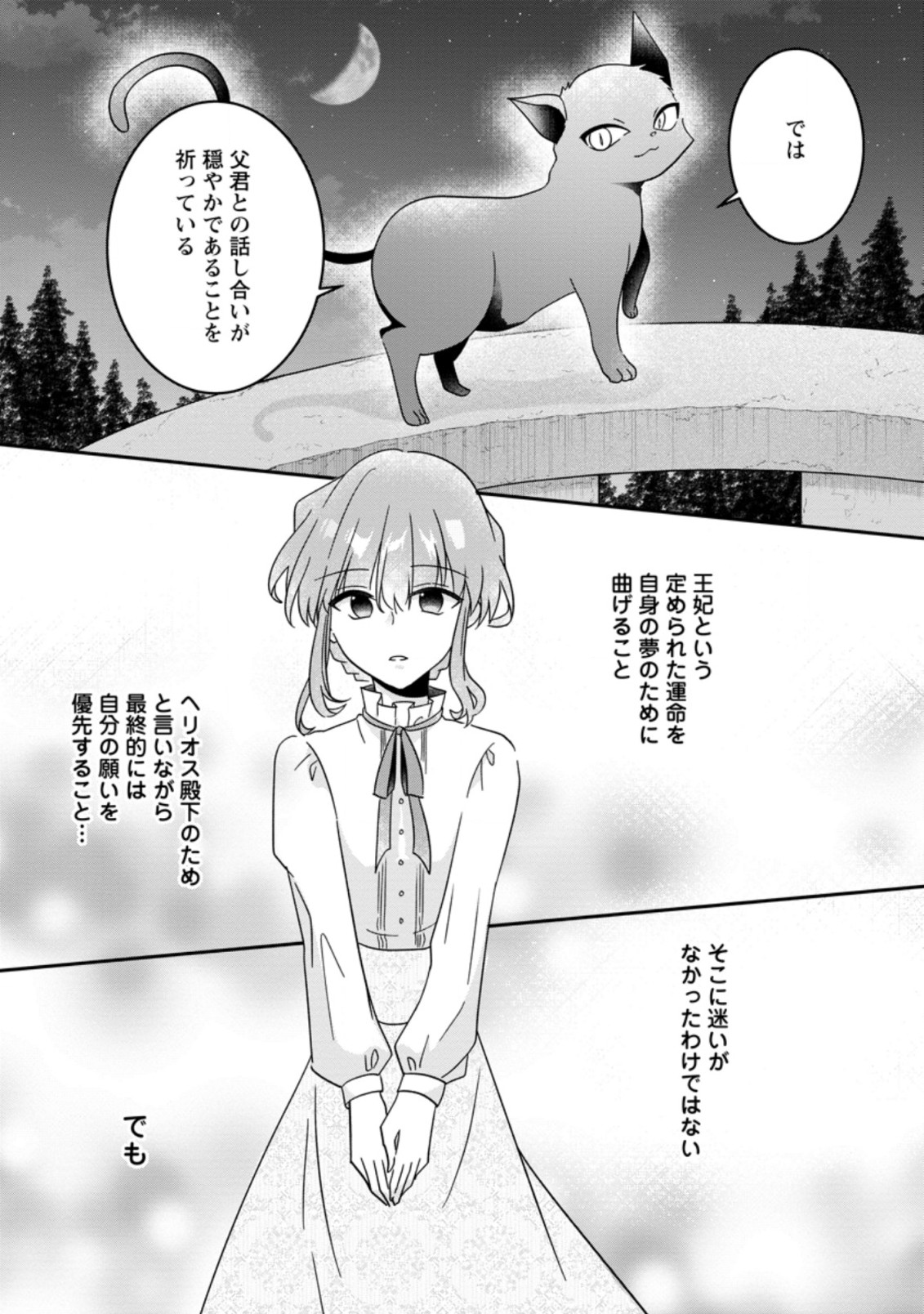 地味姫と黒猫の、円満な婚約破棄 第16.3話 - Page 9