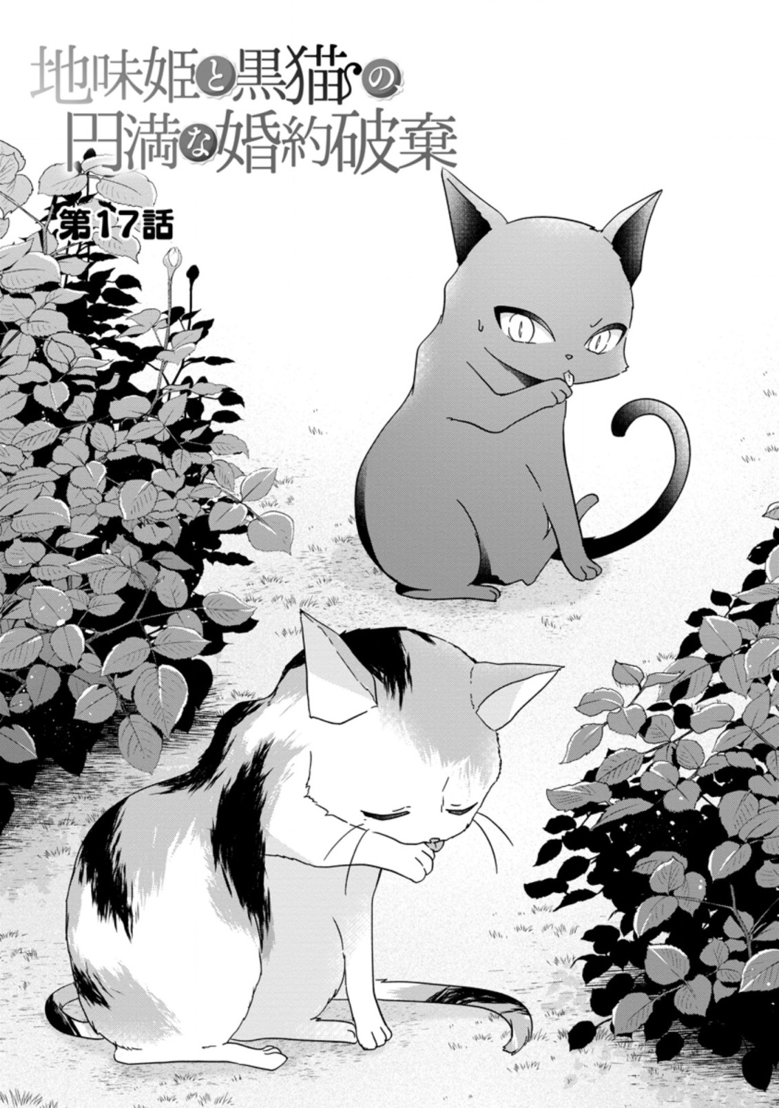 地味姫と黒猫の、円満な婚約破棄 第17.1話 - Page 2