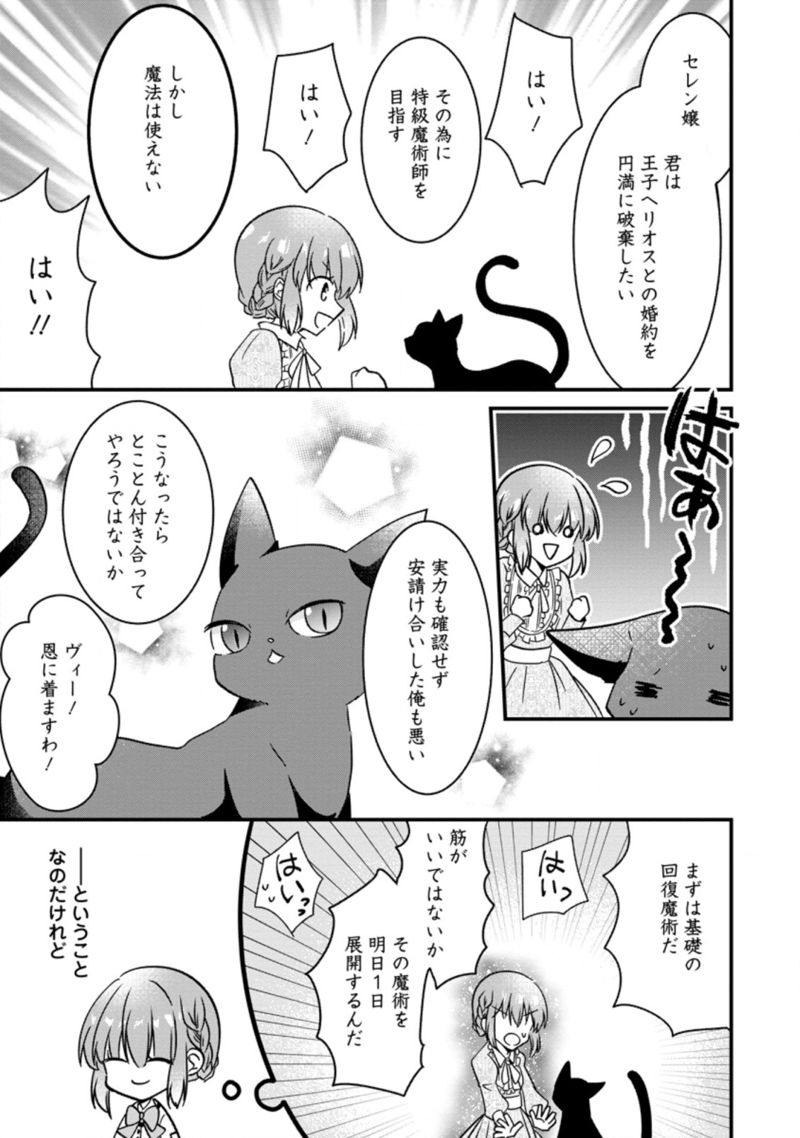 地味姫と黒猫の、円満な婚約破棄 第2.1話 - Page 4