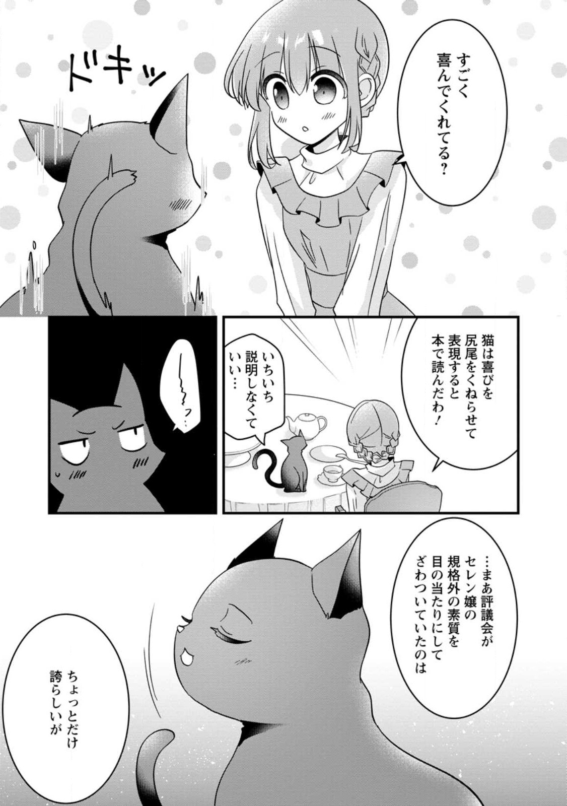 地味姫と黒猫の、円満な婚約破棄 第21.3話 - Page 9