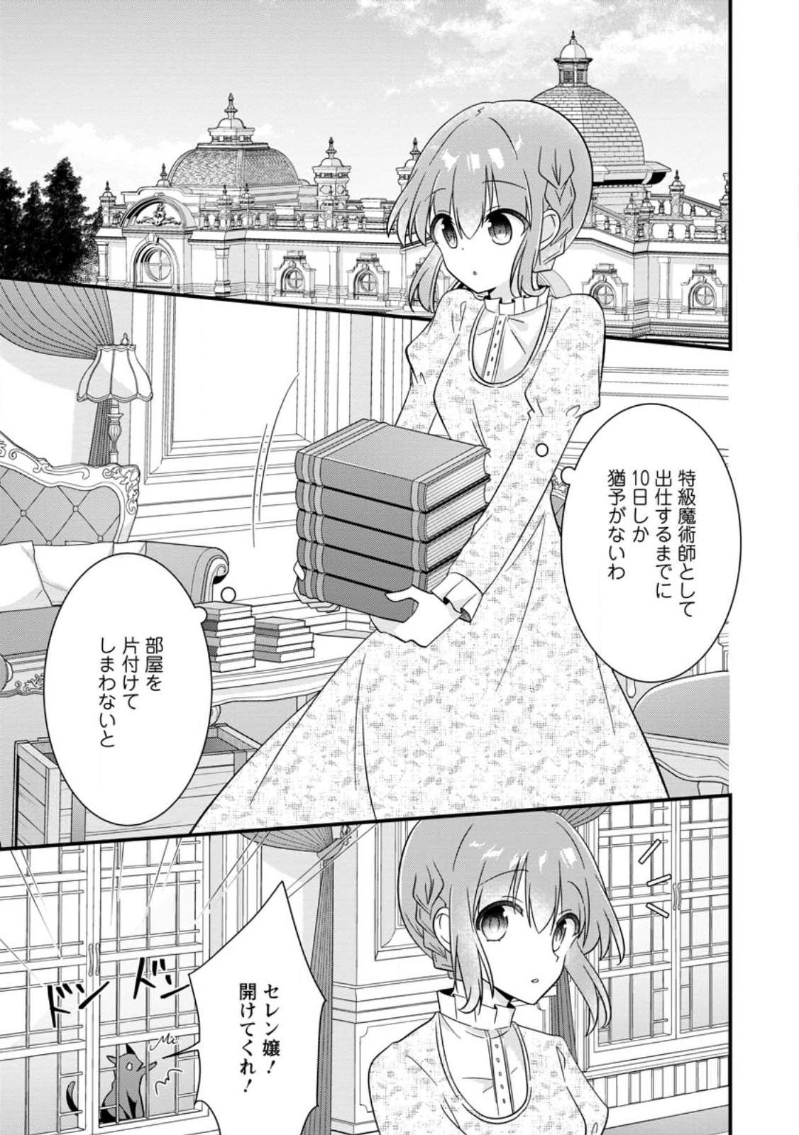地味姫と黒猫の、円満な婚約破棄 第23.1話 - Page 9