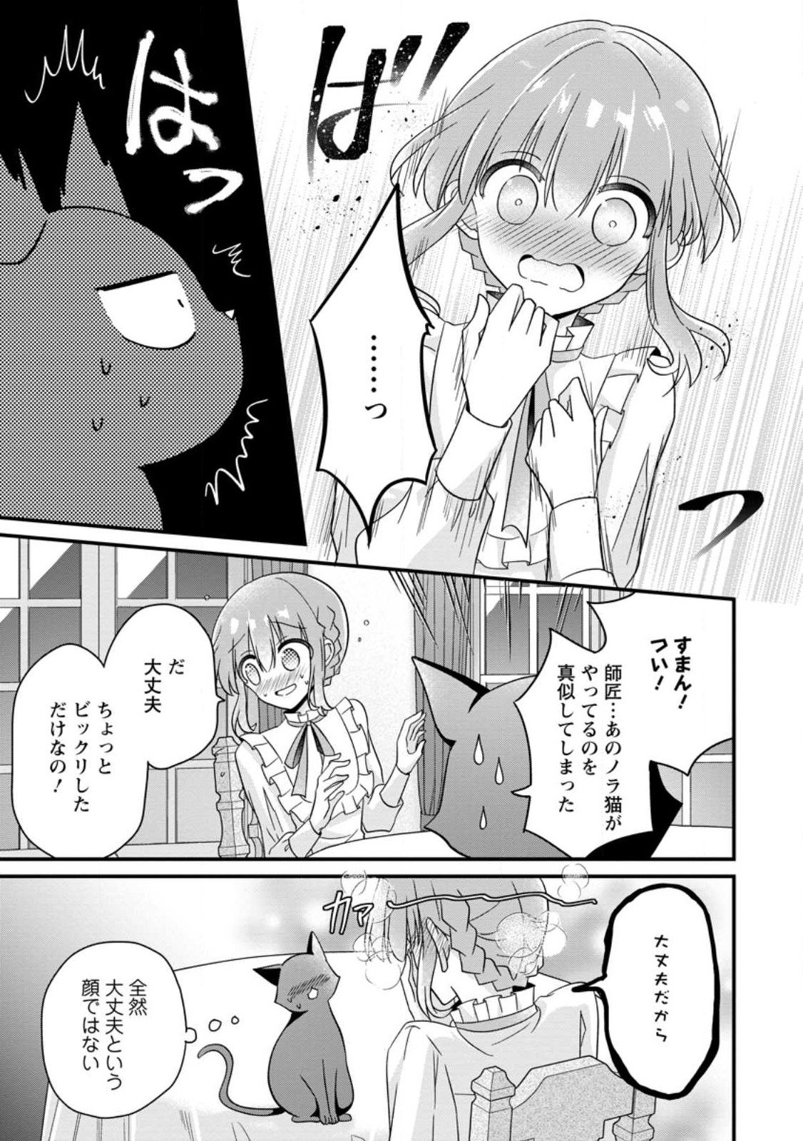地味姫と黒猫の、円満な婚約破棄 第24.2話 - Page 3