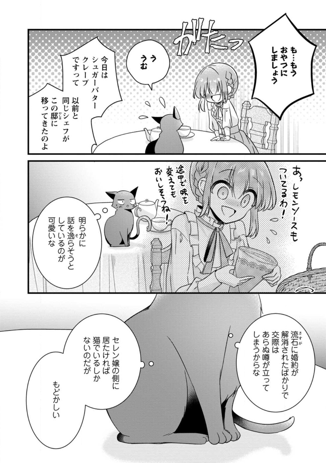 地味姫と黒猫の、円満な婚約破棄 第24.2話 - Page 4