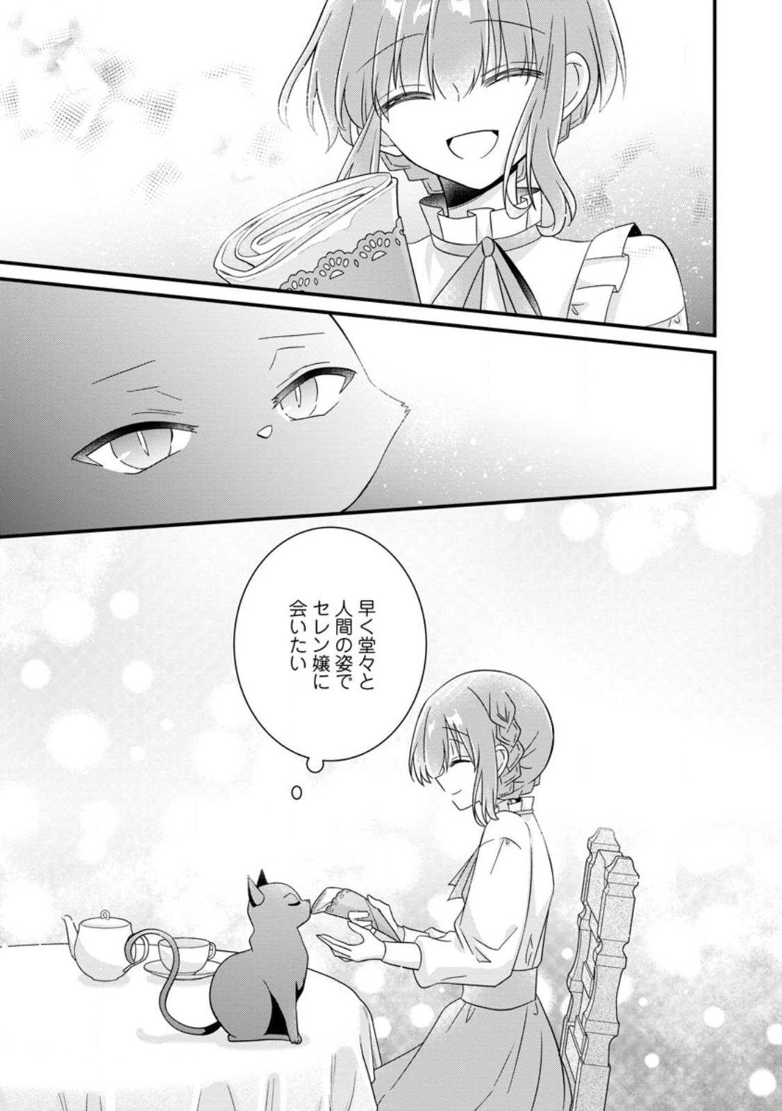 地味姫と黒猫の、円満な婚約破棄 第24.2話 - Page 5