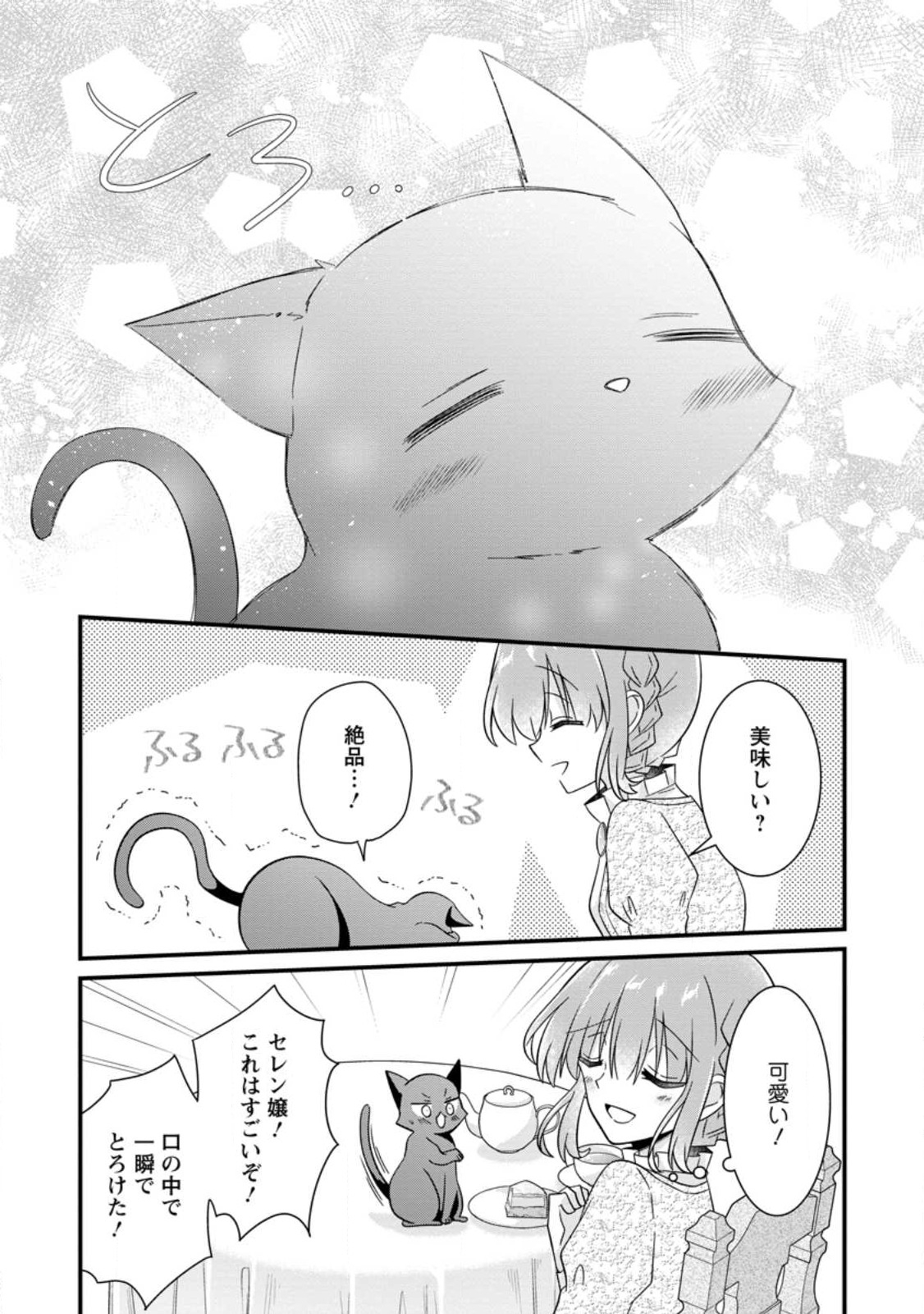 地味姫と黒猫の、円満な婚約破棄 第24.3話 - Page 5