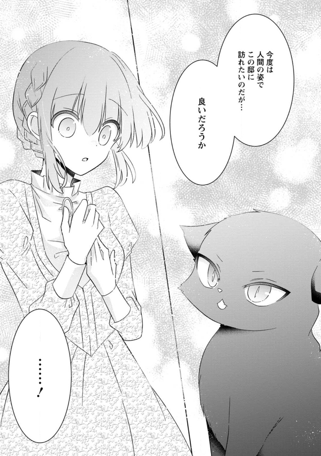 地味姫と黒猫の、円満な婚約破棄 第24.3話 - Page 9