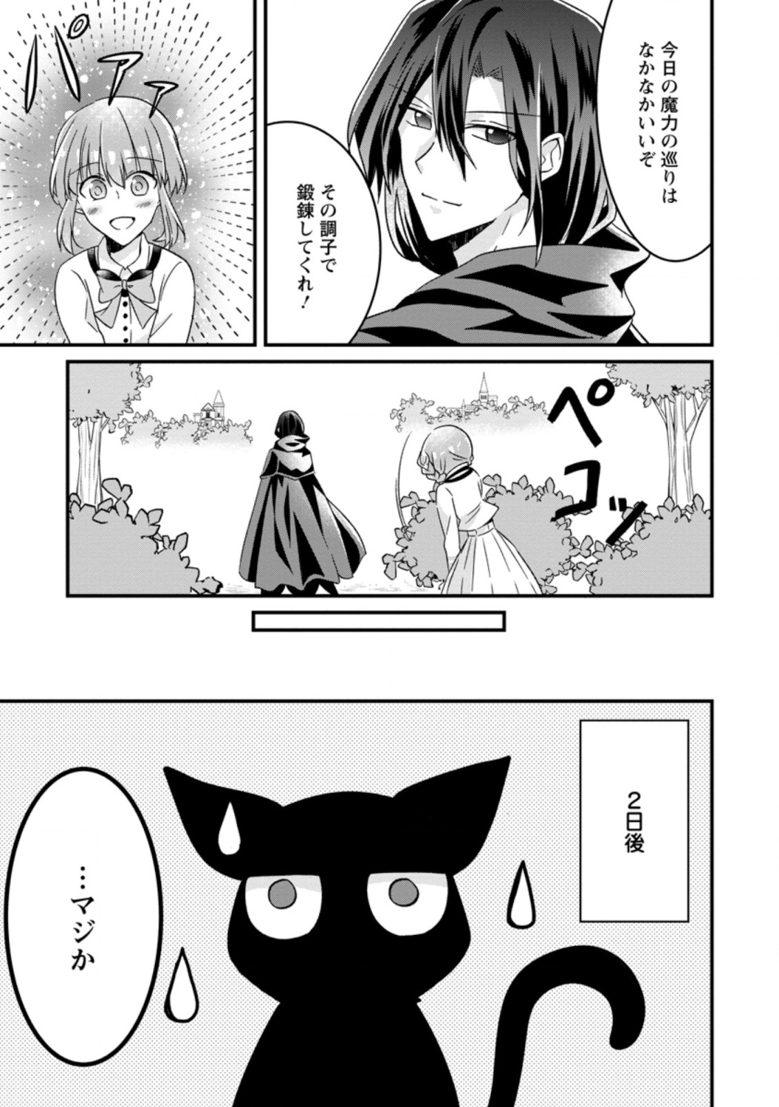 地味姫と黒猫の、円満な婚約破棄 第3.2話 - Page 4